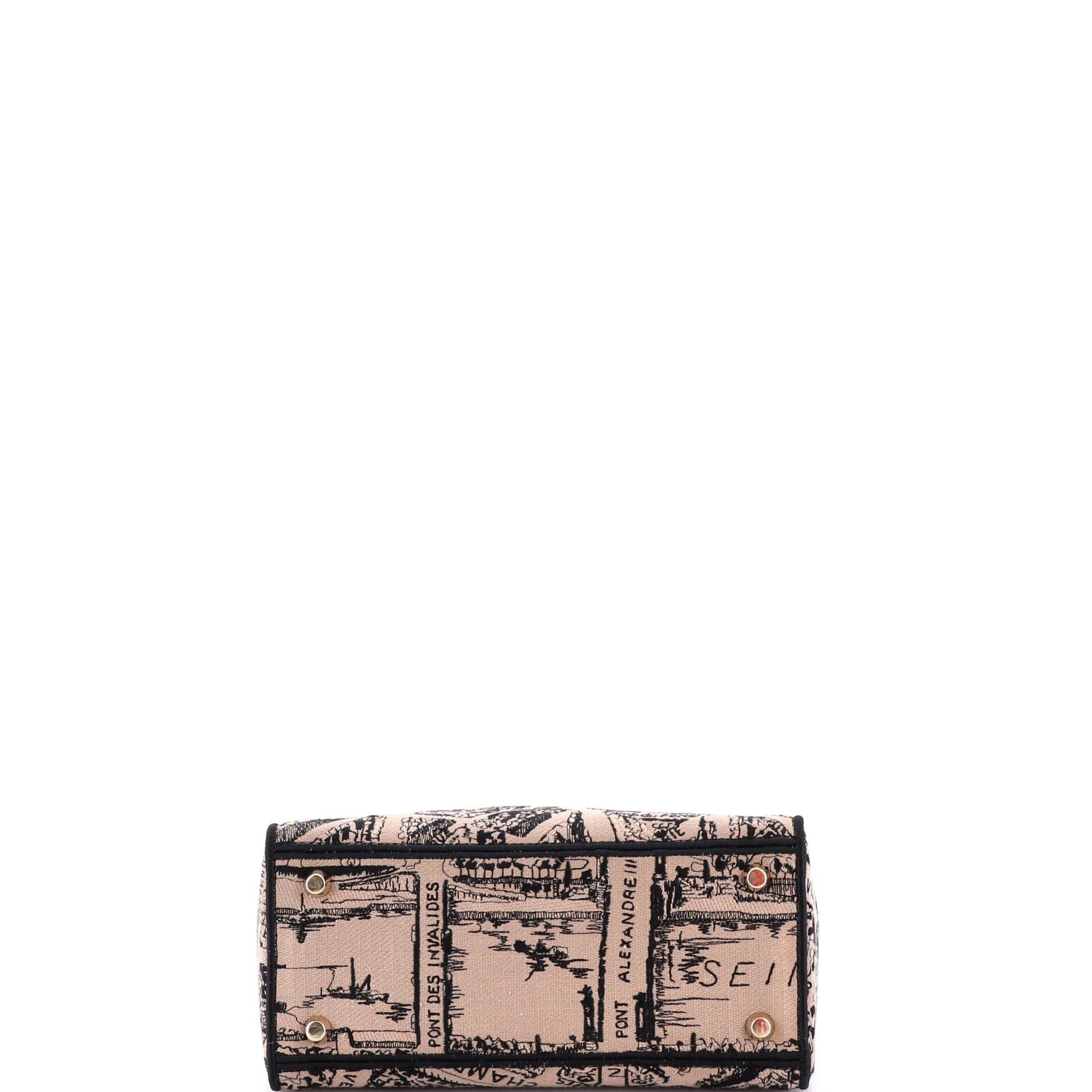 Dior Lady D-Lite Bag Size ONE SIZE - 4 Thumbnail