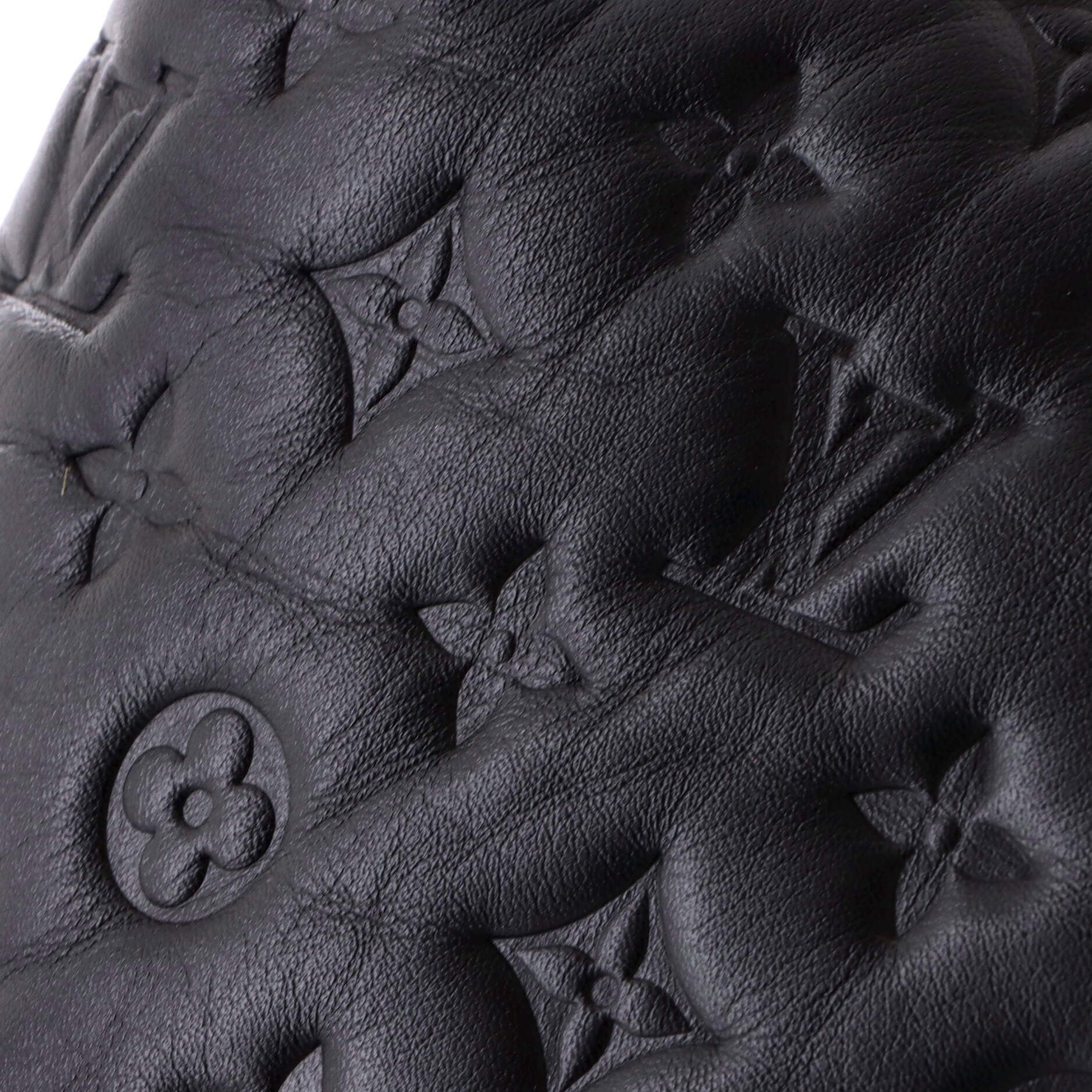 Louis Vuitton Coussin Hobo Size ONE SIZE - 7 Thumbnail