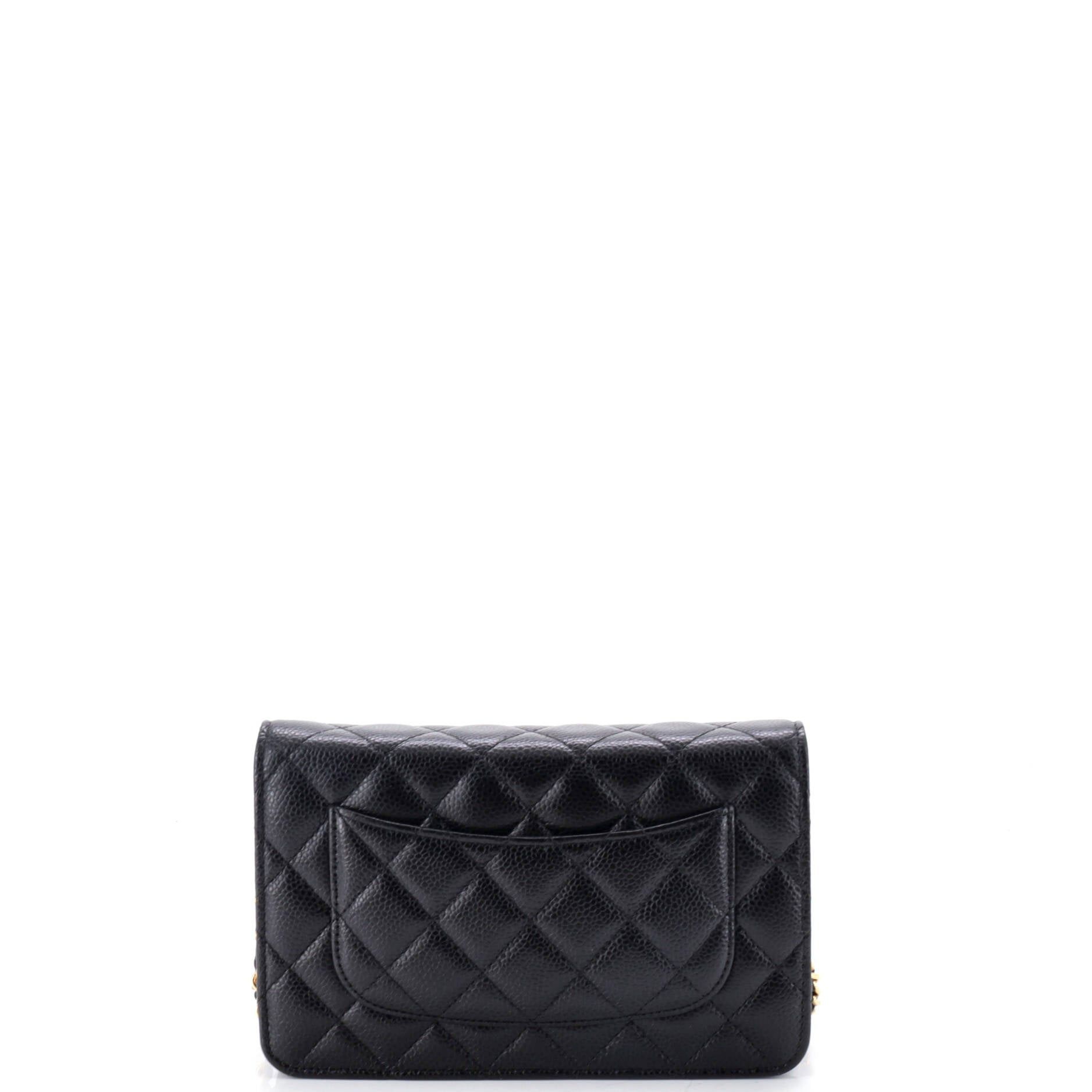 Chanel Wallet on Chain Size ONE SIZE - 4 Thumbnail