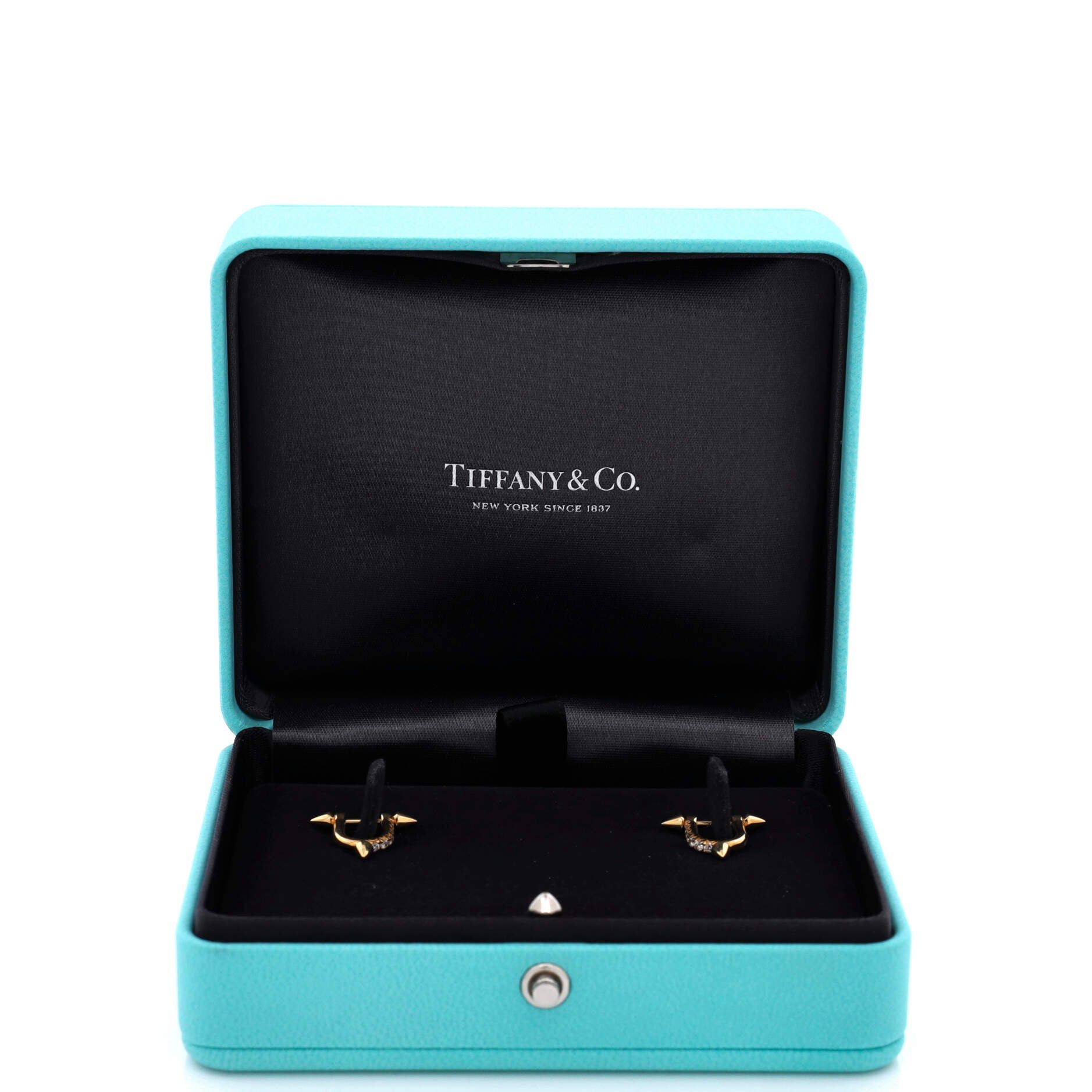 Tiffany & Co. x Pharrell Williams Titan Earrings Size ONE SIZE - 2 Thumbnail