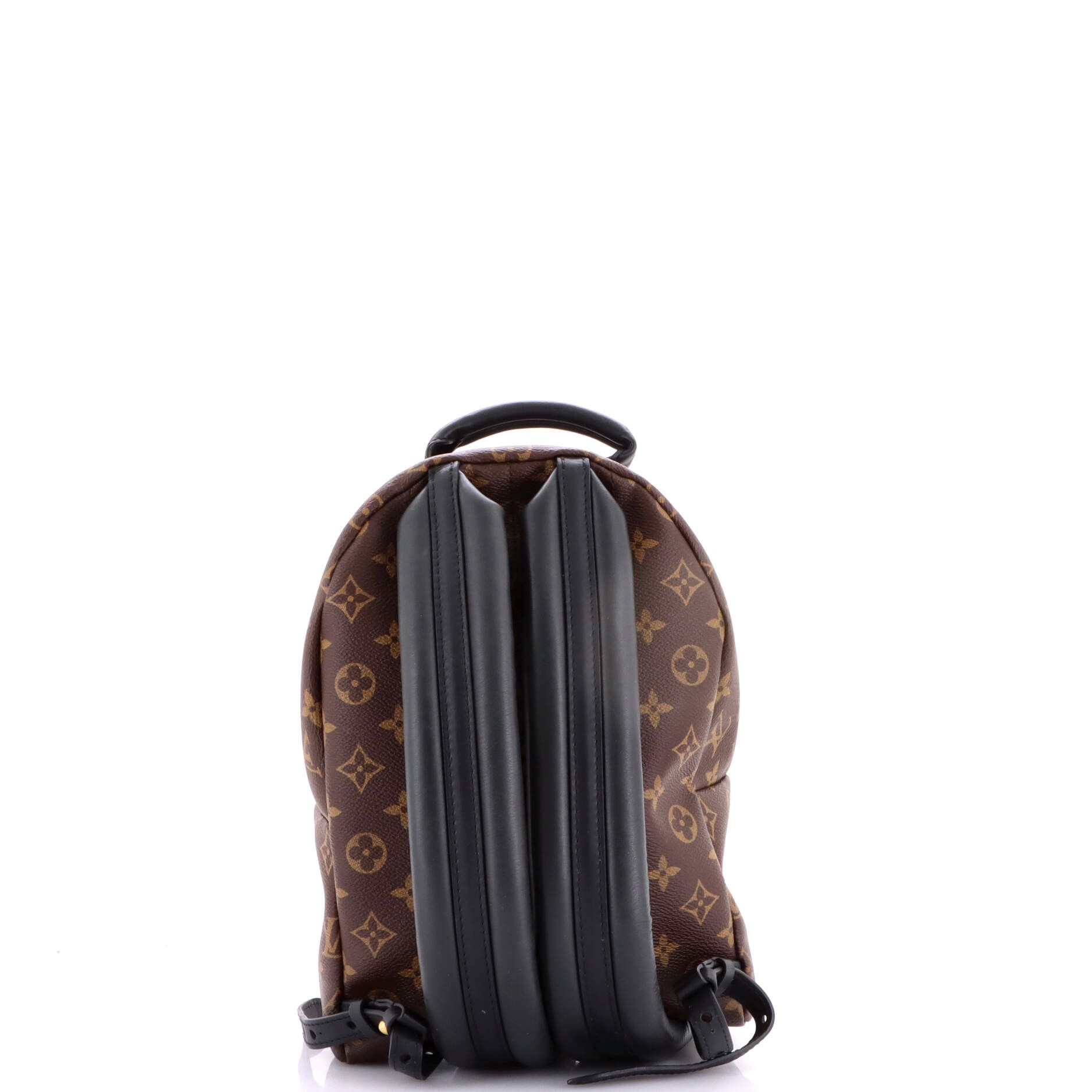 Louis Vuitton Palm Springs Backpack Size ONE SIZE - 3 Thumbnail