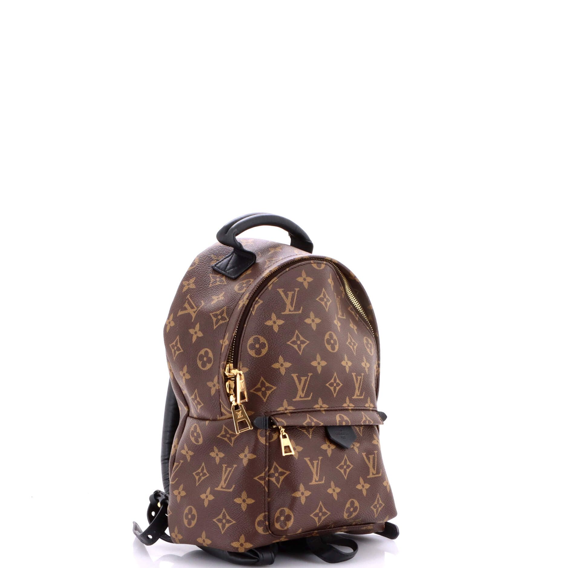 Louis Vuitton Palm Springs Backpack Size ONE SIZE - 2 Thumbnail