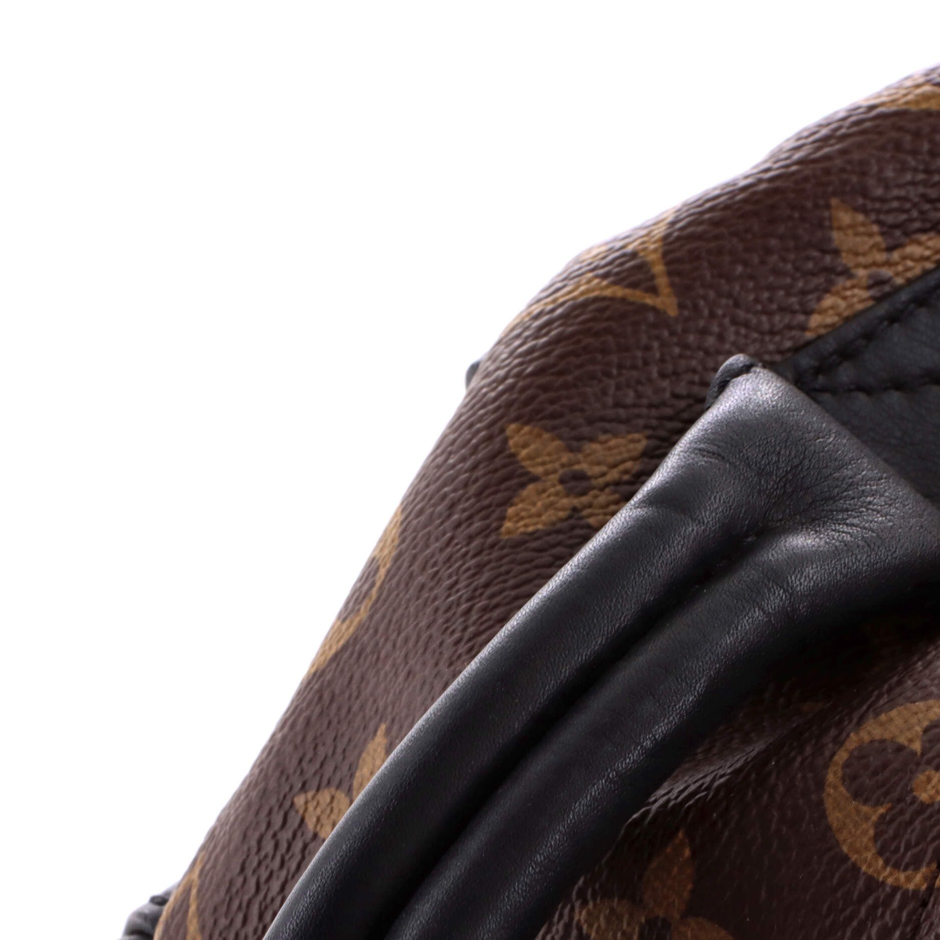 Louis Vuitton Palm Springs Backpack Size ONE SIZE - 7 Thumbnail