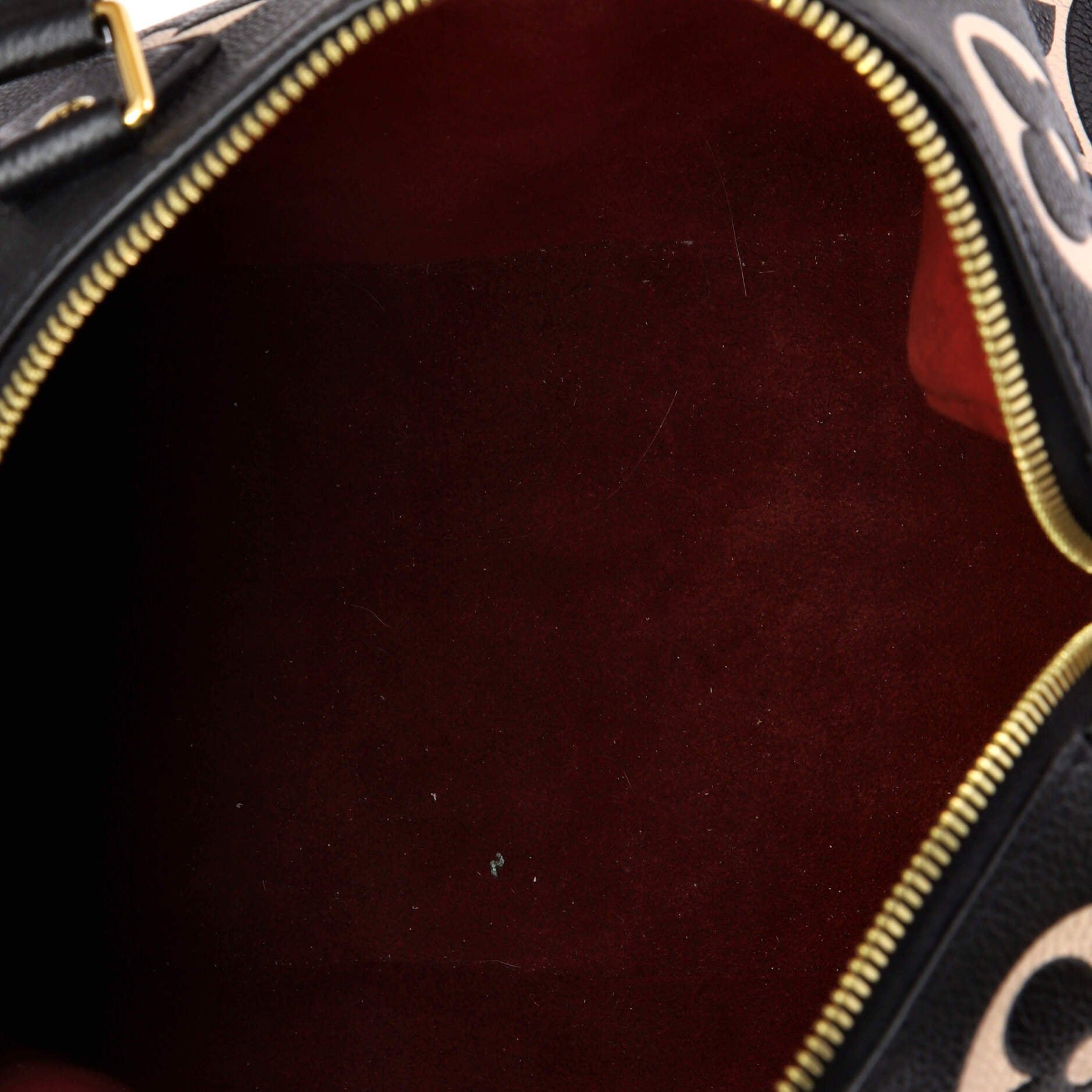 Louis Vuitton Speedy Bandouliere Bag Size ONE SIZE - 5 Thumbnail