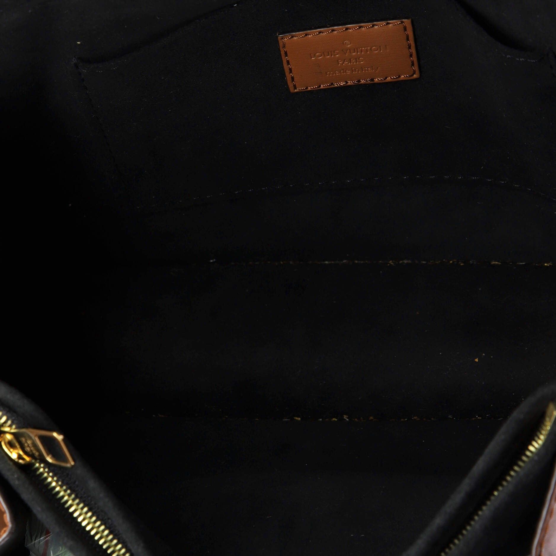 Louis Vuitton Dauphine Shoulder Bag Size ONE SIZE - 5 Thumbnail