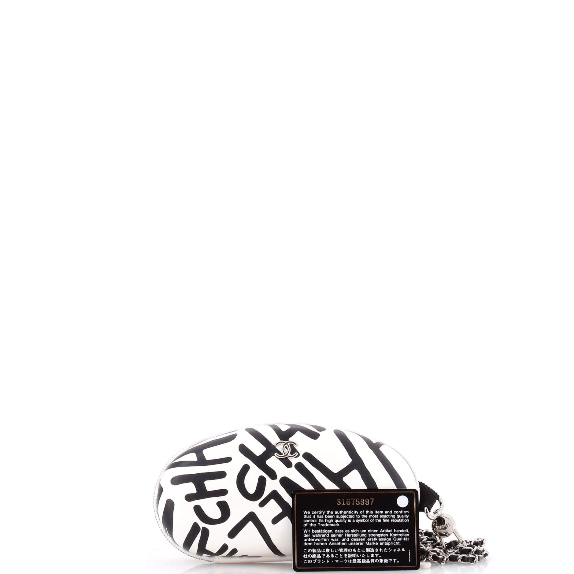 Chanel Coco Neige Zip Around Sunglasses Case with Chain Size ONE SIZE - 2 Thumbnail
