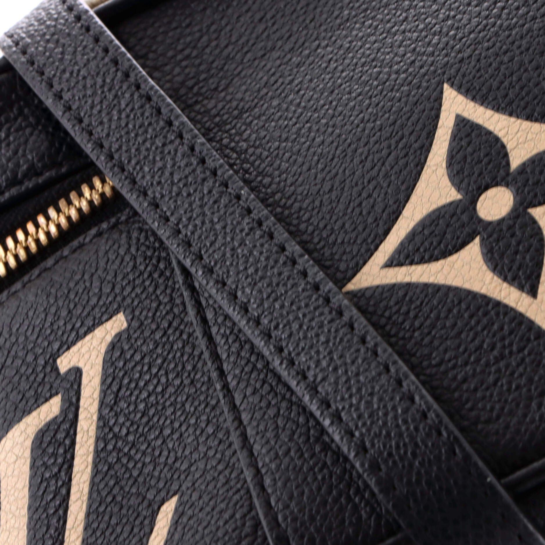 Louis Vuitton Vanity Handbag Size ONE SIZE - 7 Thumbnail
