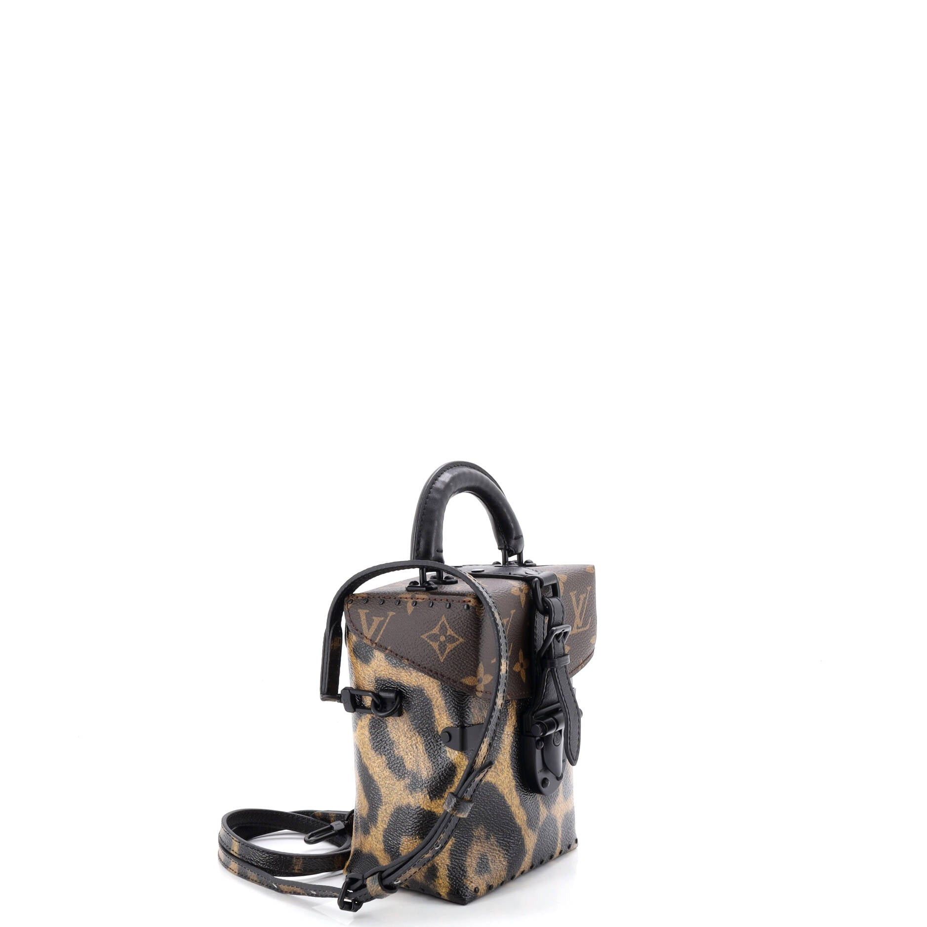 Louis Vuitton Camera Box Handbag Size ONE SIZE - 2 Thumbnail