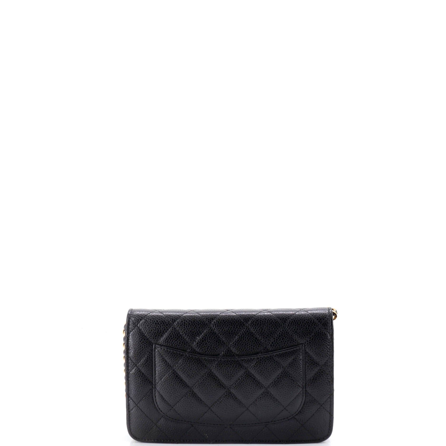Chanel Wallet on Chain Size ONE SIZE - 4 Thumbnail