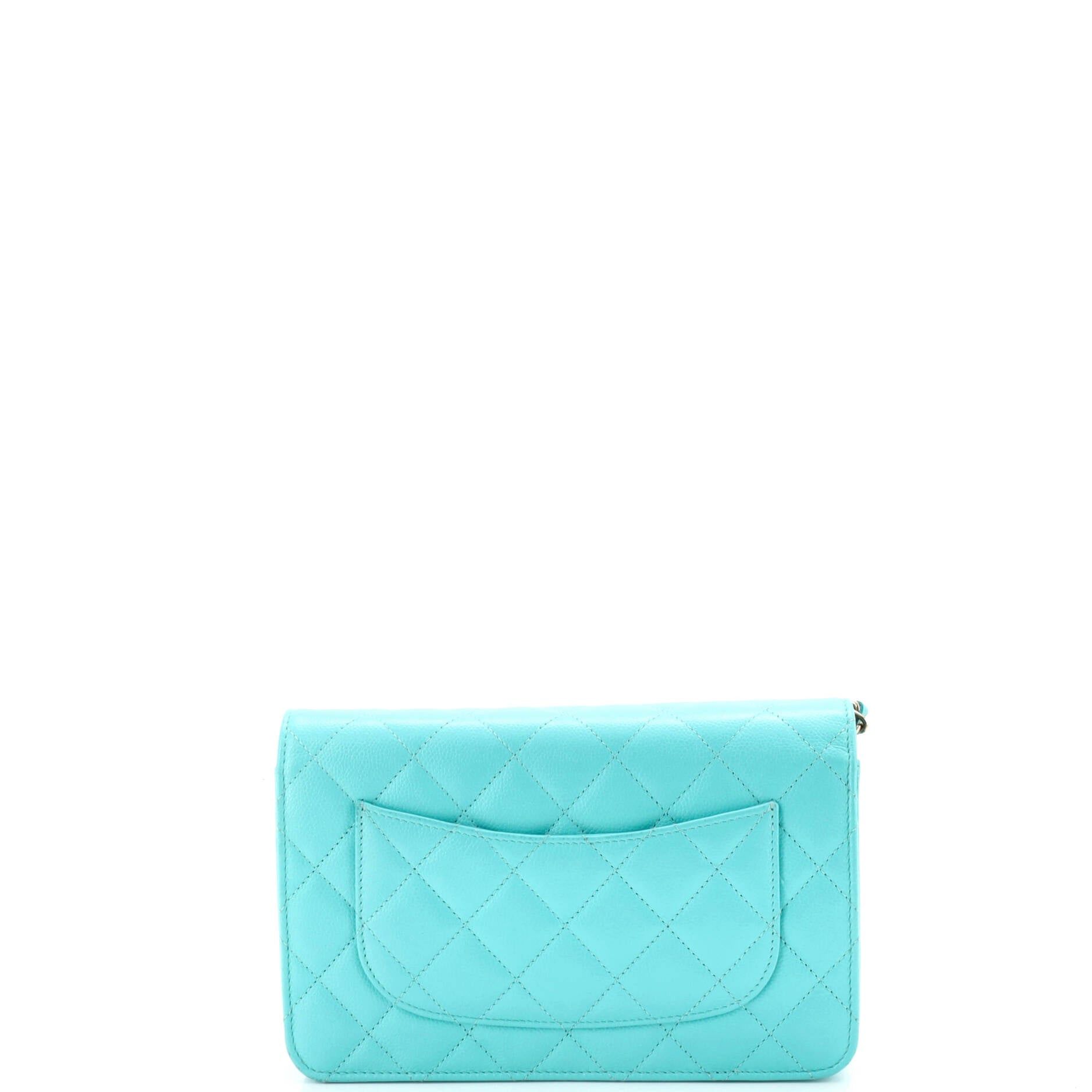 Chanel Wallet on Chain Size ONE SIZE - 3 Thumbnail