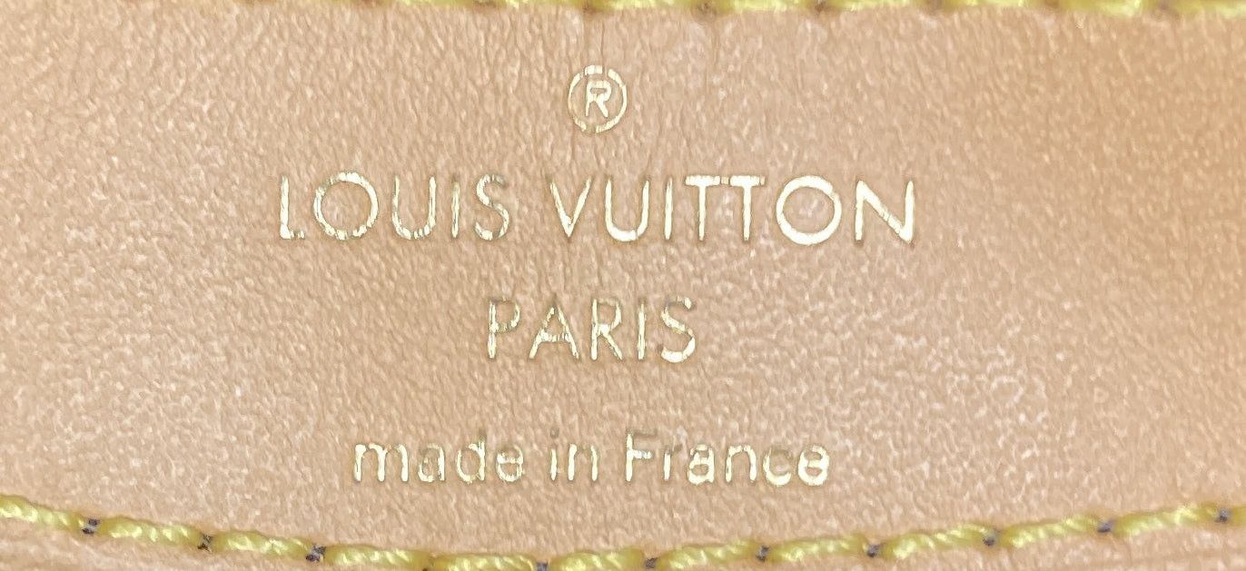 Louis Vuitton Diane NM Handbag Size ONE SIZE - 9 Thumbnail