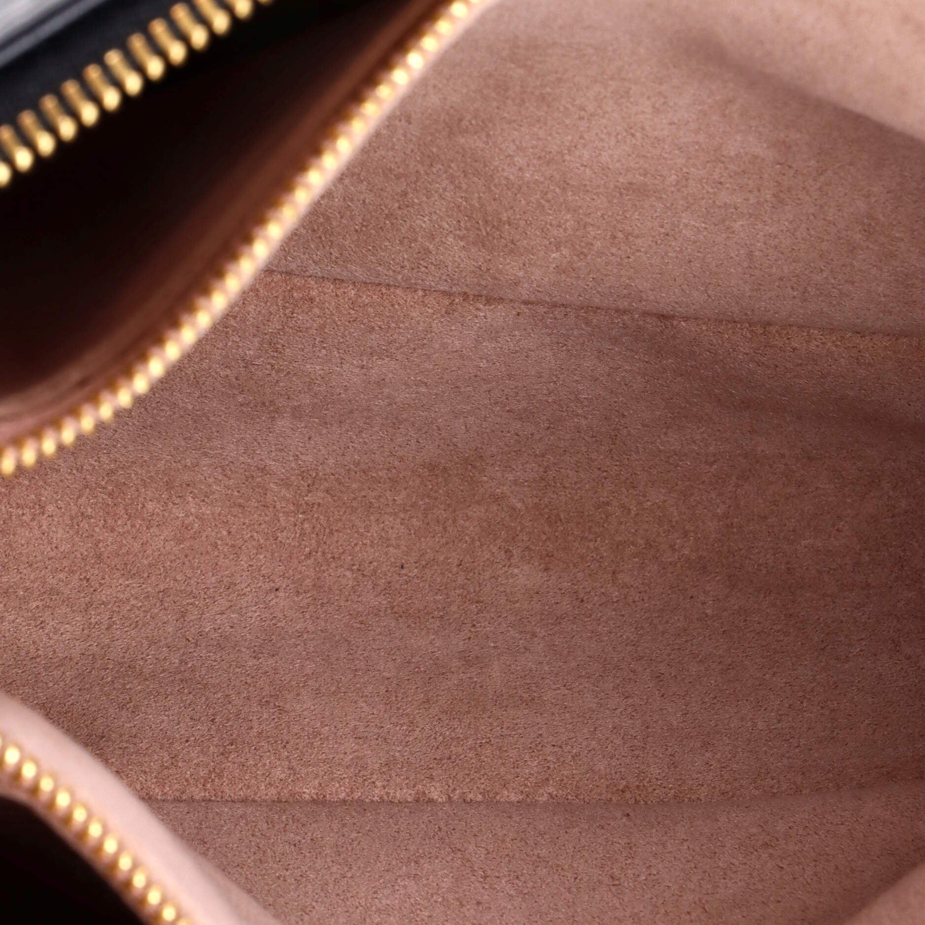 Louis Vuitton Coussin Bag Size ONE SIZE - 5 Thumbnail