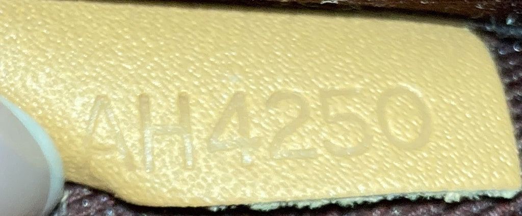 Louis Vuitton Odeon NM Handbag Size ONE SIZE - 7 Thumbnail