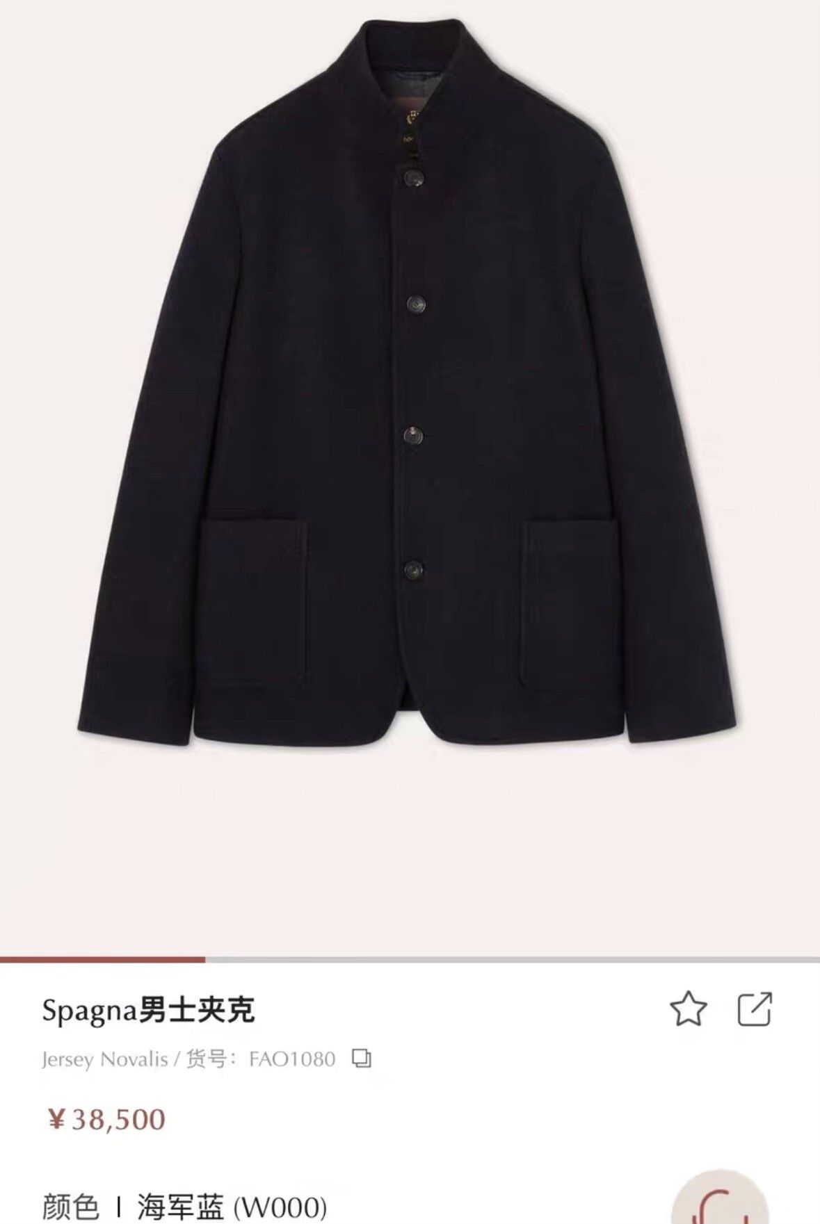 Loro Piana Loro Piana Men's Cashmere Coat Navy Blue Size US M / EU 48-50 / 2 - 2 Thumbnail