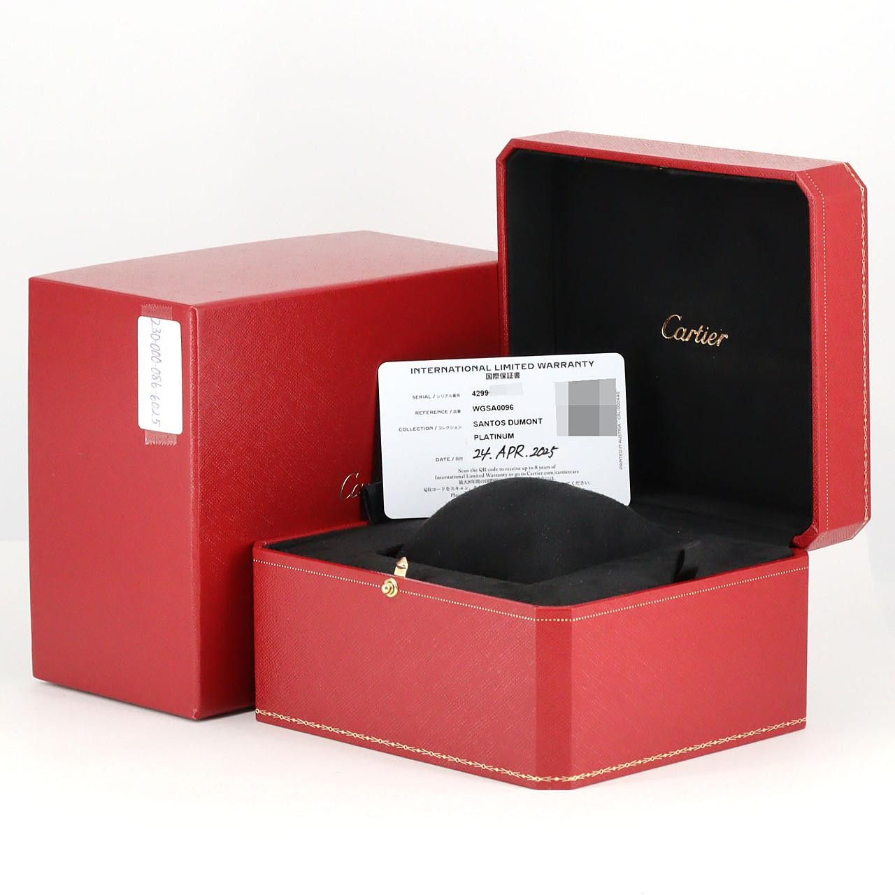 Cartier Cartier Cartier Santos-Dumont LM PT Platinum Manual Limited Precious Metal Other WGSA0096 DUTY FREE for USA Size ONE SIZE - 8 Thumbnail
