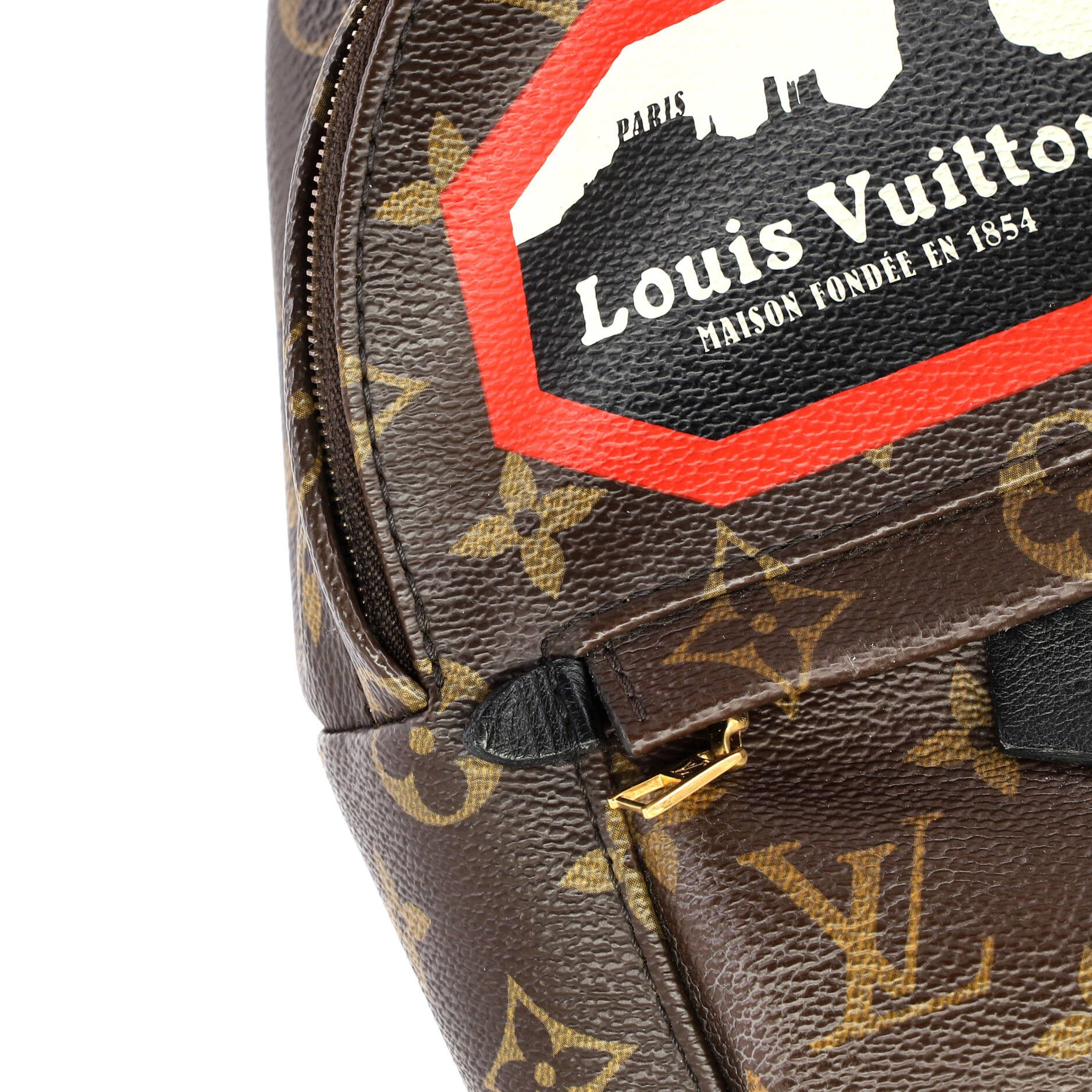 Louis Vuitton Palm Springs Backpack Limited Edition World Tour Monogram Canvas Mini Size ONE SIZE - 7 Thumbnail