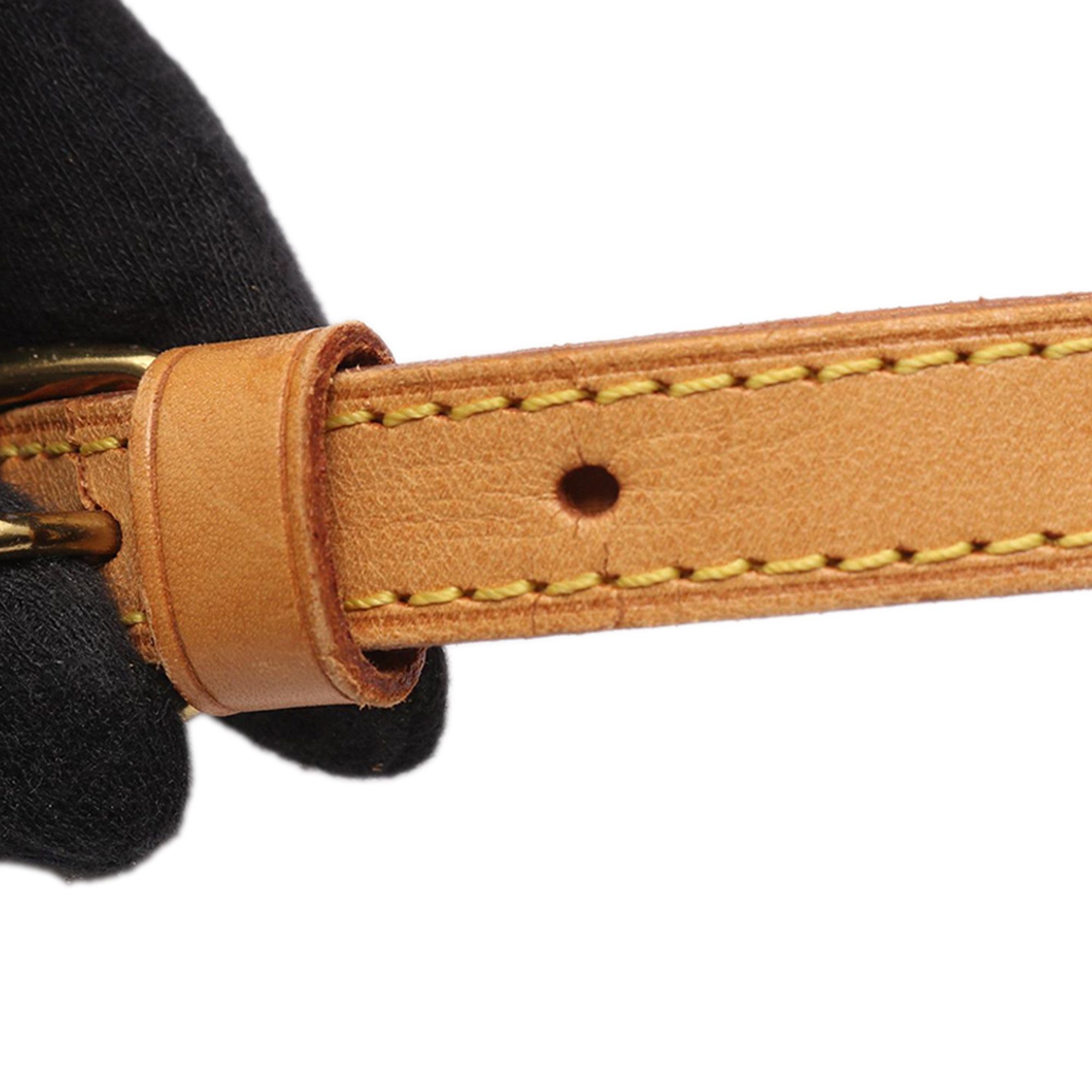 Louis Vuitton Louis Vuitton Monogram Blois Size ONE SIZE - 10 Thumbnail