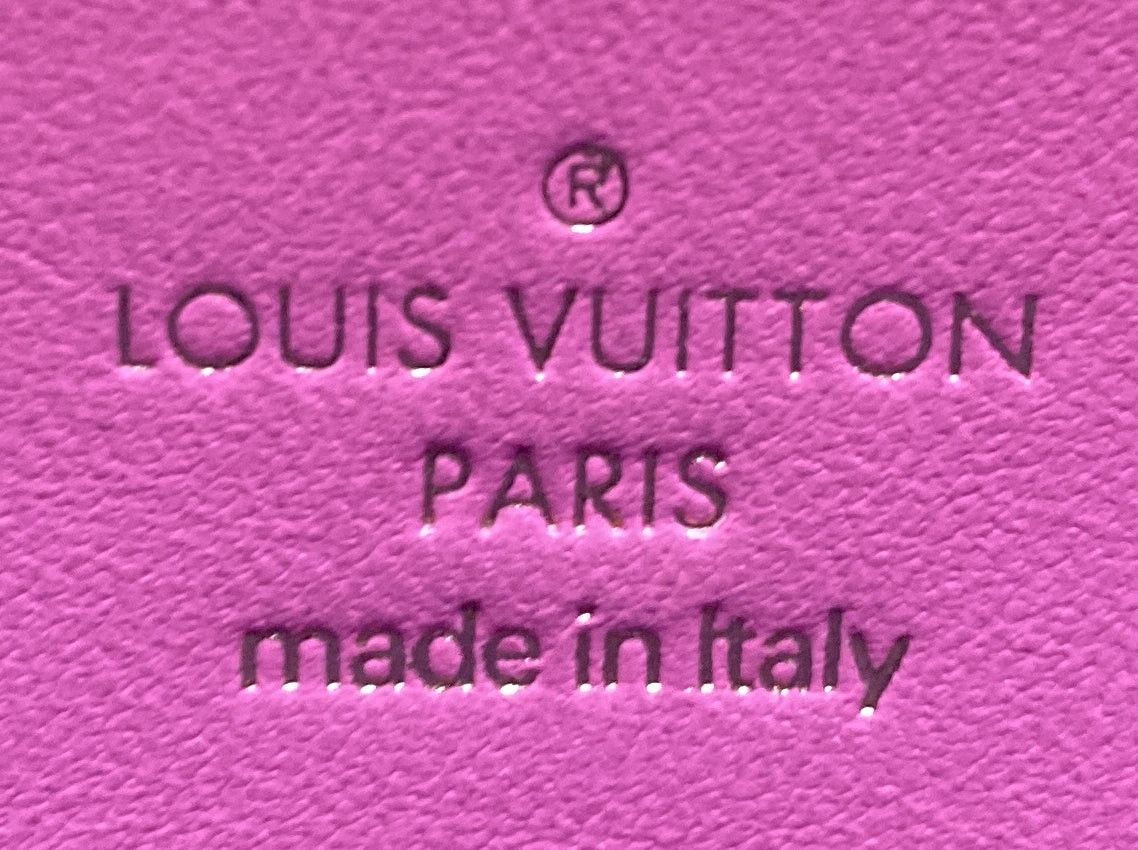 Louis Vuitton Rare Coussin Pochette Size ONE SIZE - 7 Thumbnail