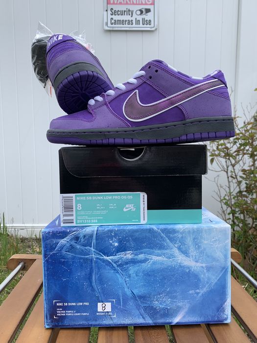 nike sb purple lobster special box