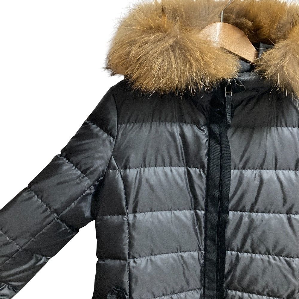 Lanvin Lanvin LANVIN en Bleu Lace Raccoon Fur Long Down Coat Textile Outerwear DUTY FREE for USA Size ONE SIZE - 2 Thumbnail