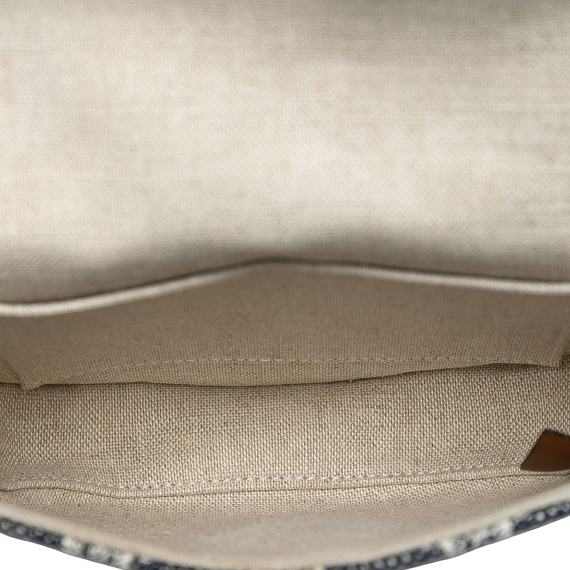 Celine Celine Mini Triomphe Canvas and Calfskin Besace Crossbody Size ONE SIZE - 4 Thumbnail