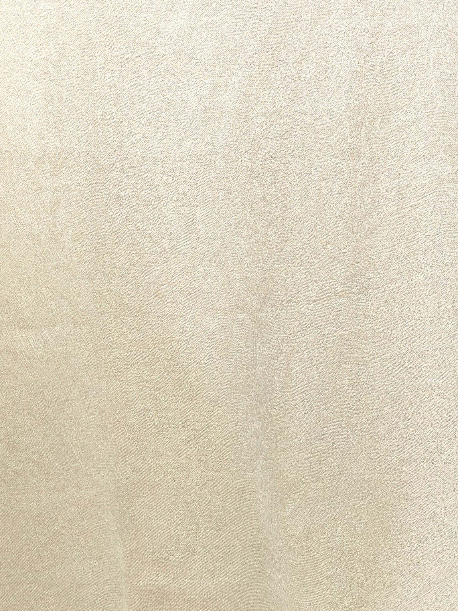 Max Mara 'Mxapalmeti' Stole Size ONE SIZE - 2 Thumbnail