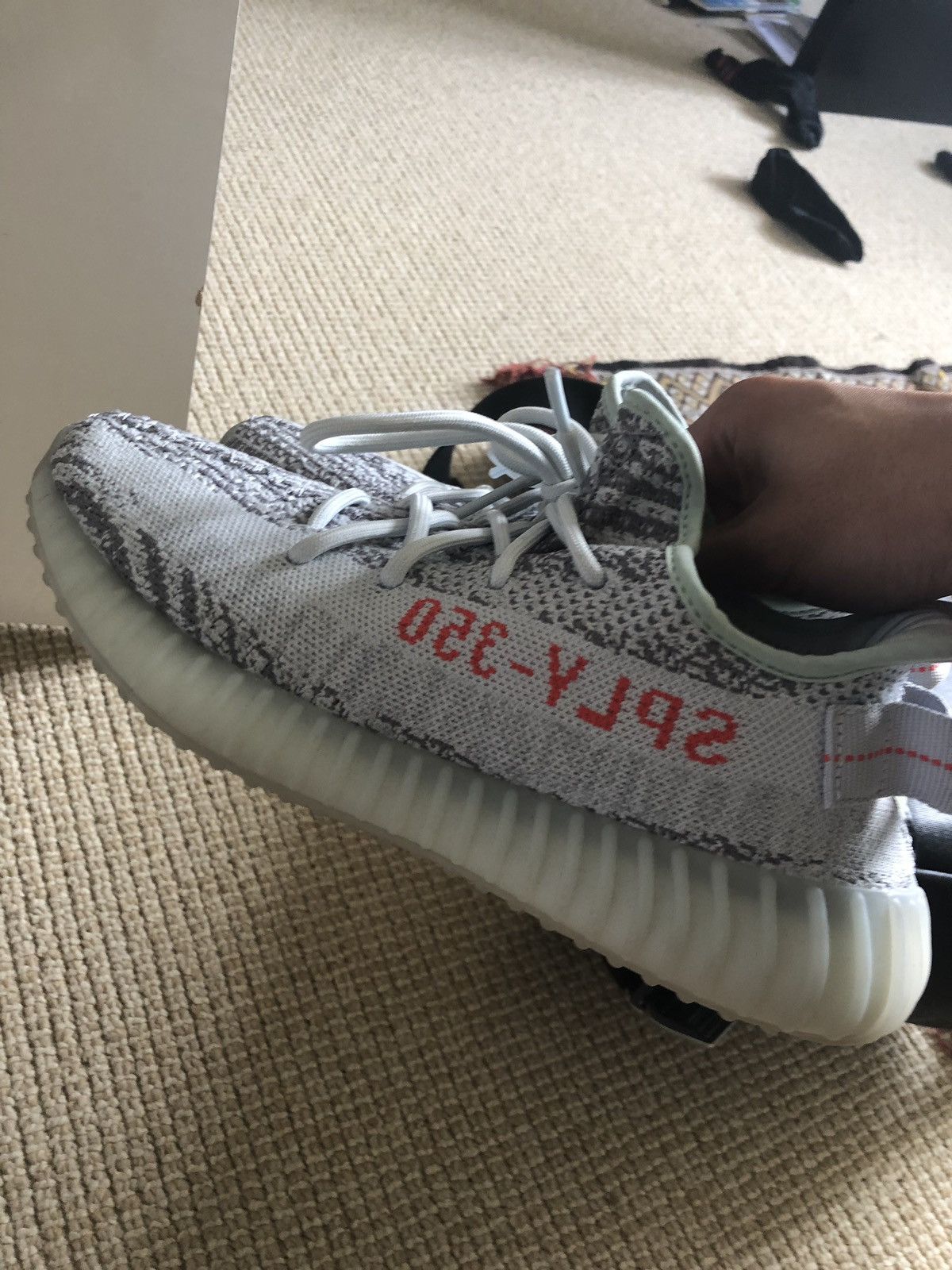 Yeezy Collection Size 7.5US