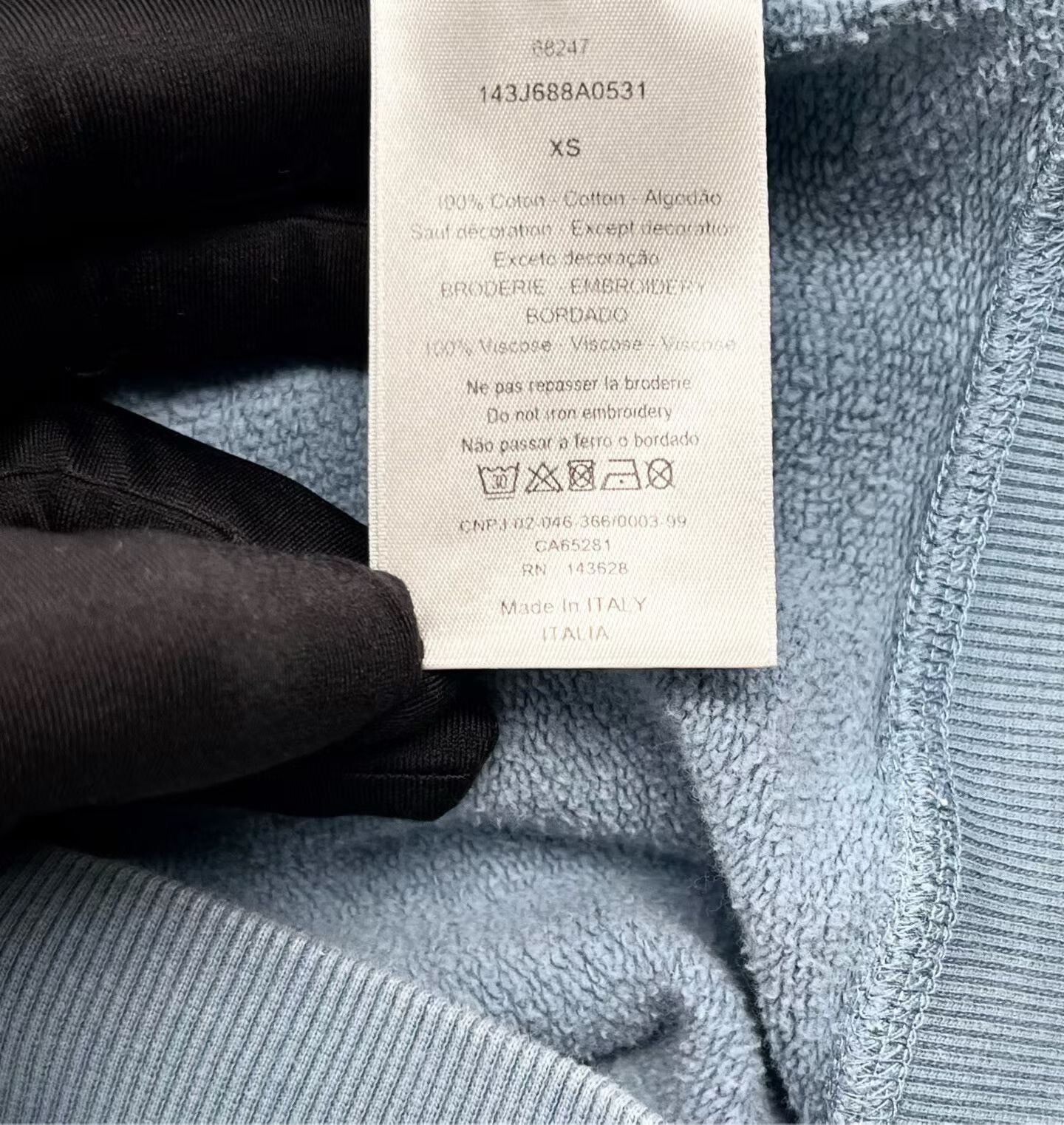 Dior Dior x Peter Doig Logo Hoodie Size US XS / EU 42 / 0 - 3 Thumbnail