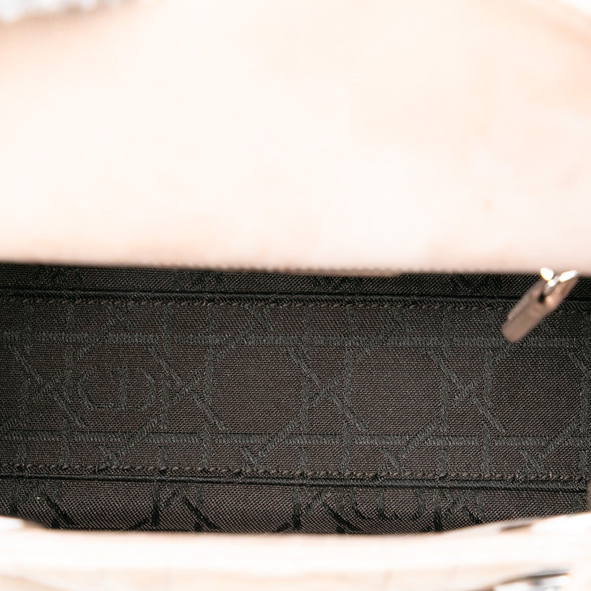 Dior Mini Iridescent Lambskin Cannage Lady Dior Size ONE SIZE - 4 Thumbnail