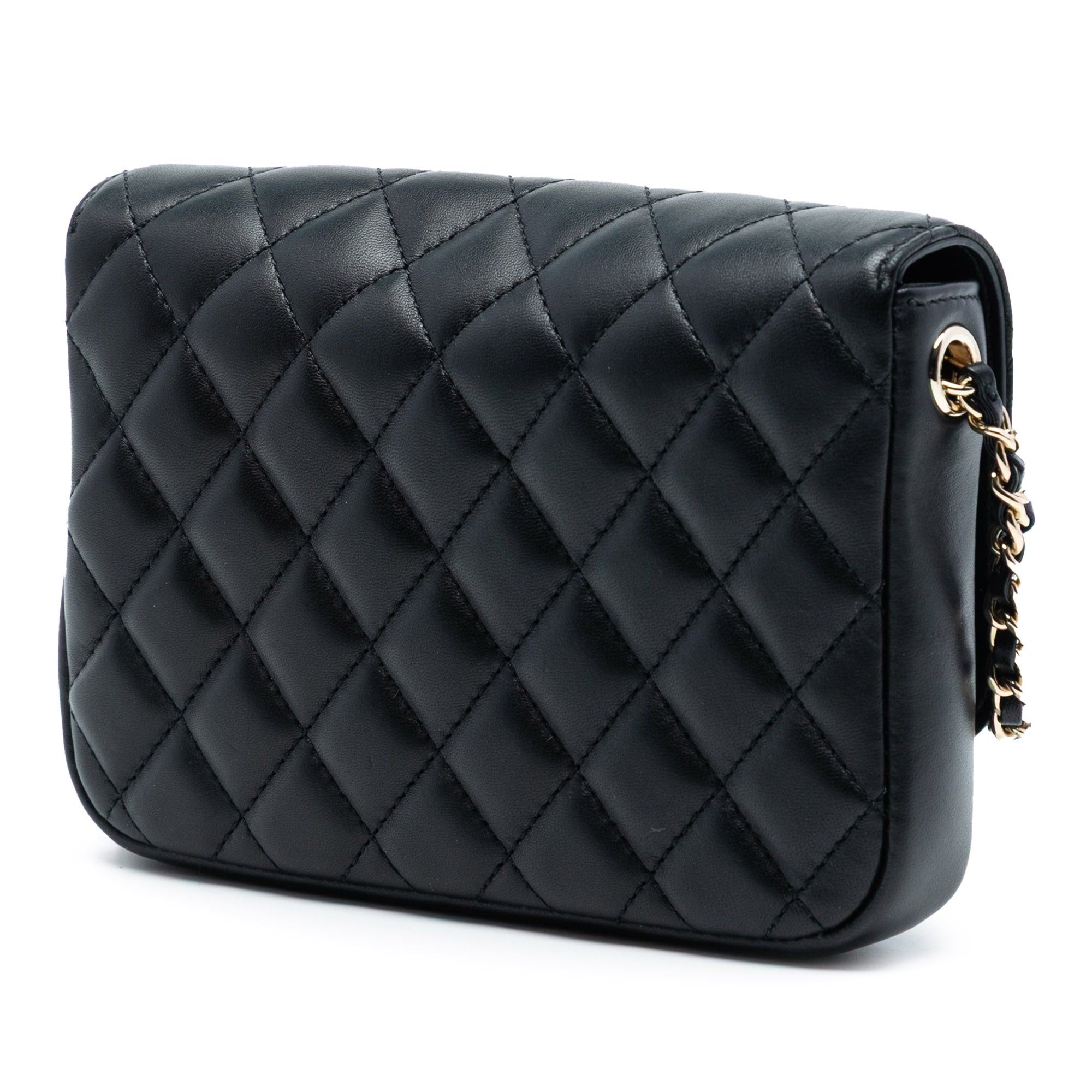 Chanel CC Quilted Lambskin Side Packs Flap Size ONE SIZE - 2 Thumbnail