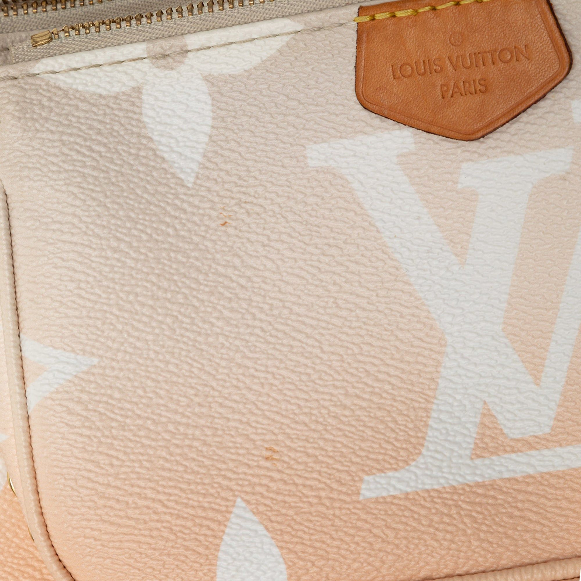 Louis Vuitton Monogram Giant By The Pool Multi Pochette Accessoires Size ONE SIZE - 7 Thumbnail
