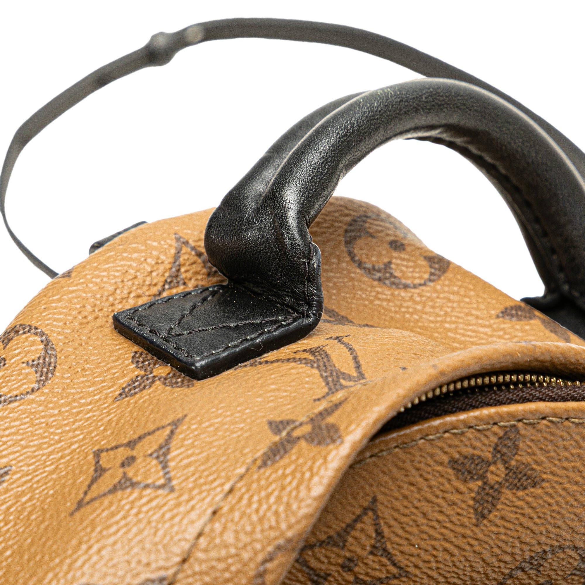 Louis Vuitton Monogram Reverse Mini Palm Springs Size ONE SIZE - 9 Thumbnail