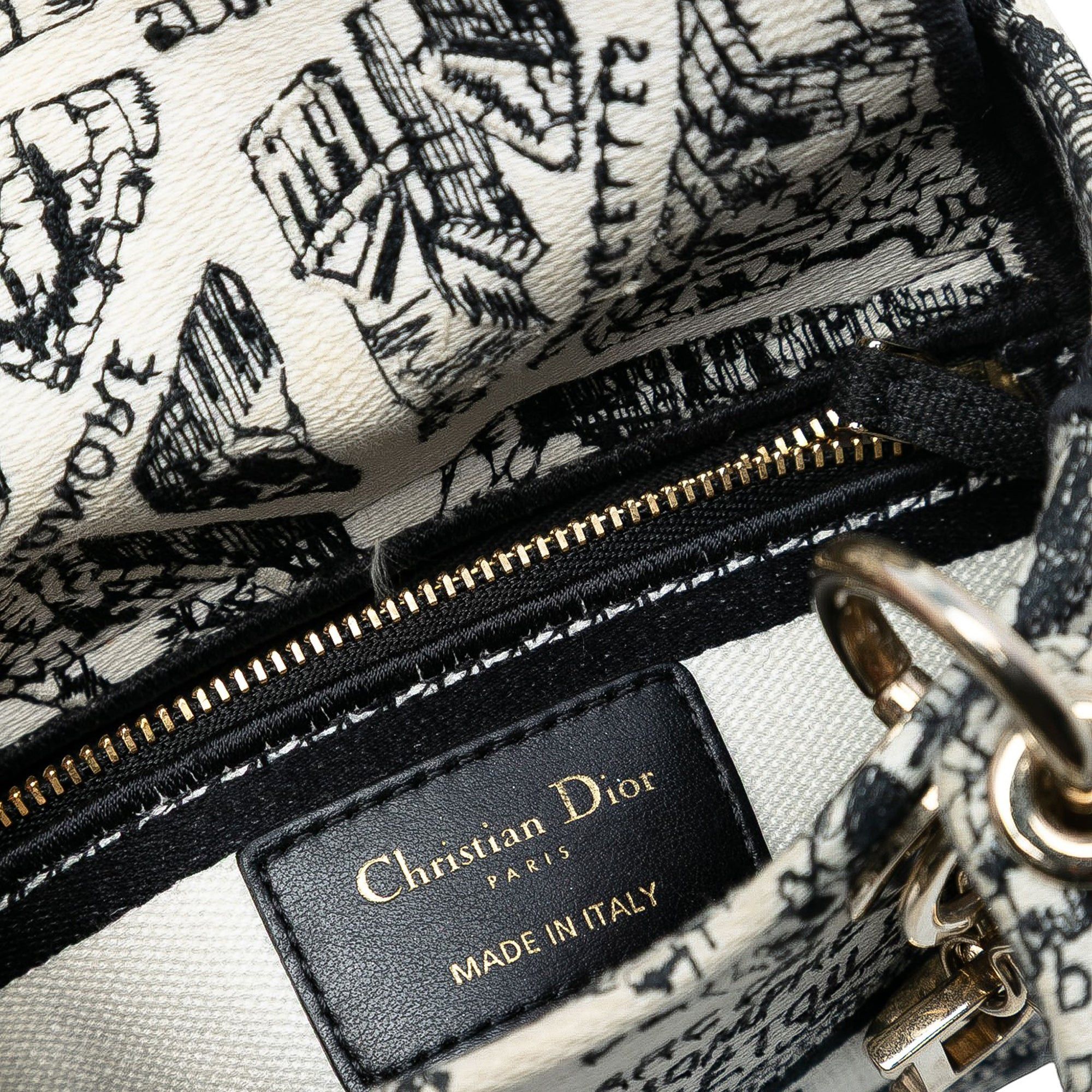 Dior Mini Embroidered Canvas Plan de Paris Lady D Lite Size ONE SIZE - 6 Thumbnail