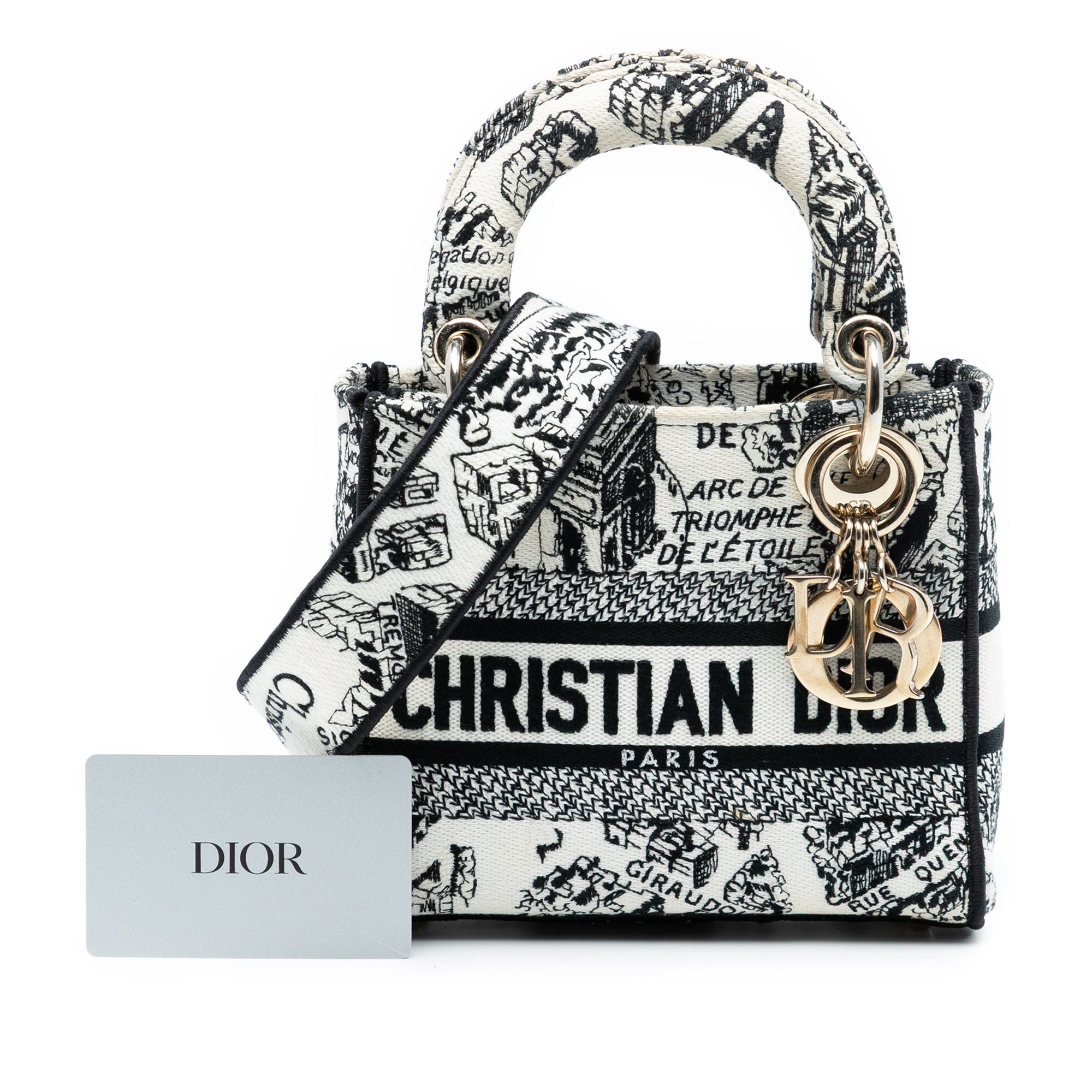 Dior Mini Embroidered Canvas Plan de Paris Lady D Lite Size ONE SIZE - 8 Thumbnail