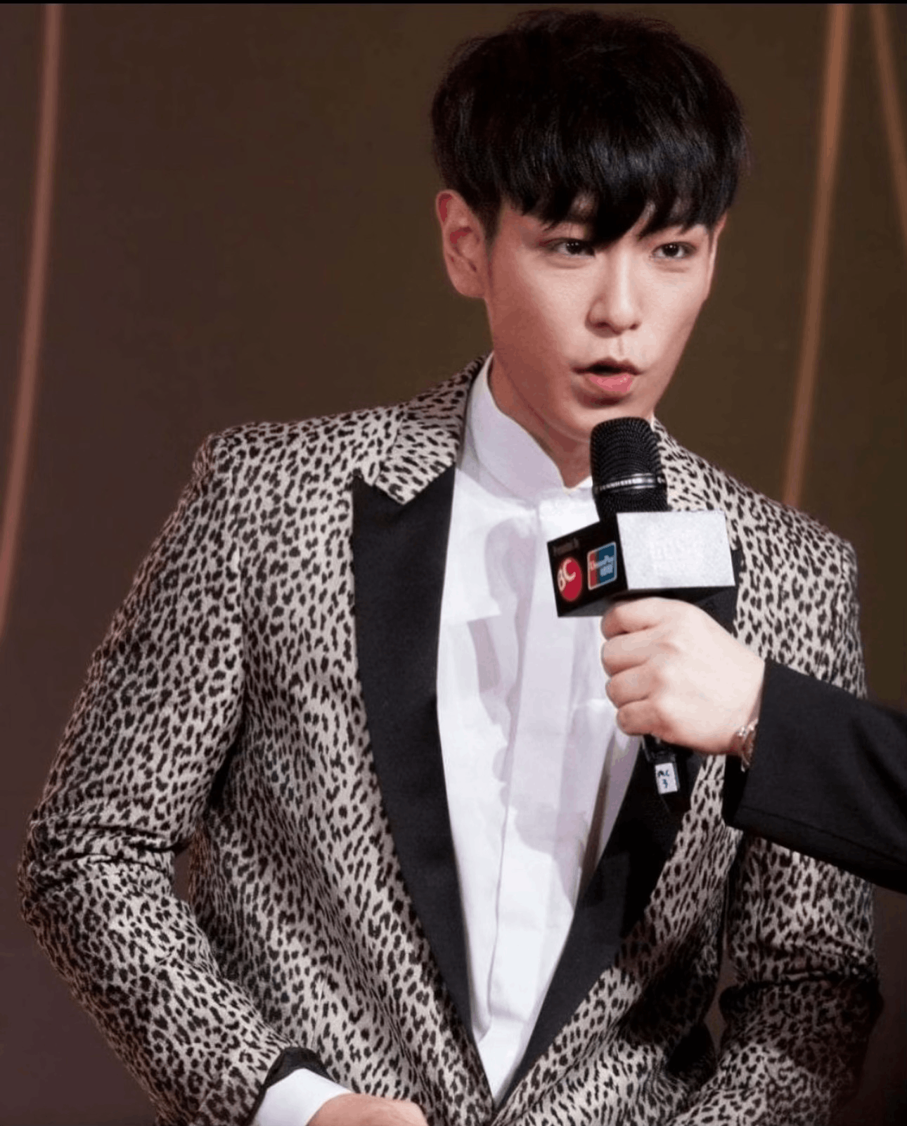 Saint Laurent Paris Saint Laurent Leopard Print Smoking Jacket Size US XS / EU 42 / 0 - 7 Thumbnail
