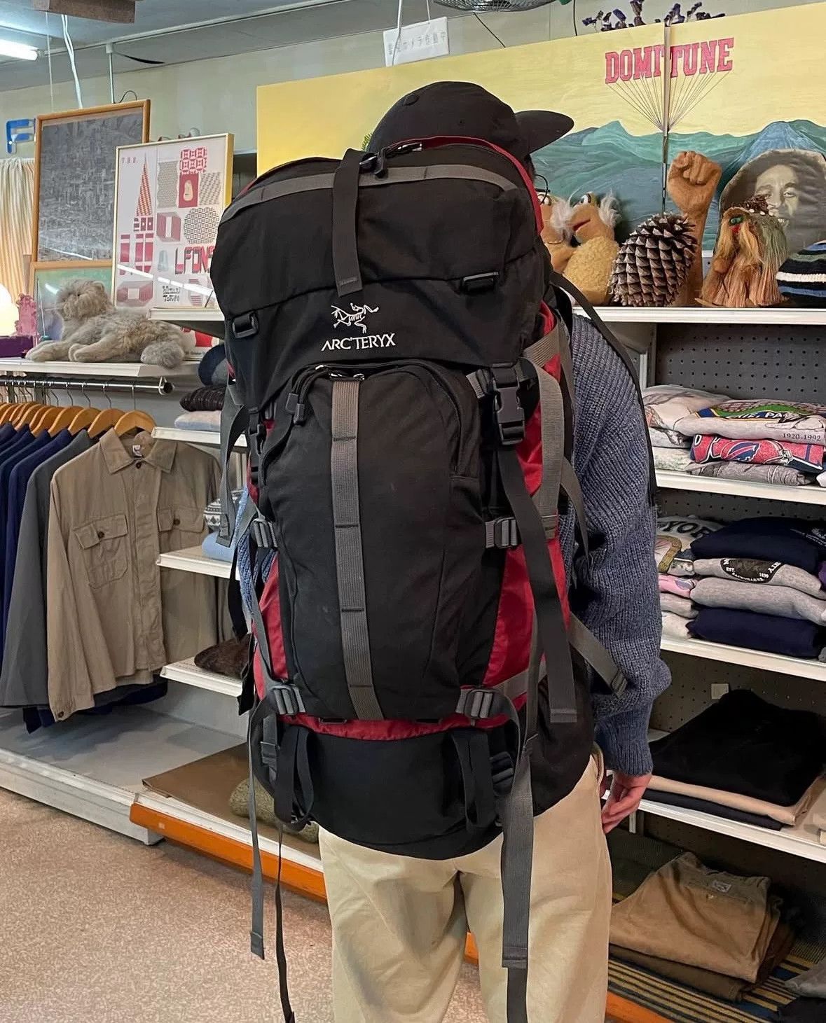 Arc'teryx Arc'teryx First Gen Bora30 Backpack Size ONE SIZE - 8 Thumbnail