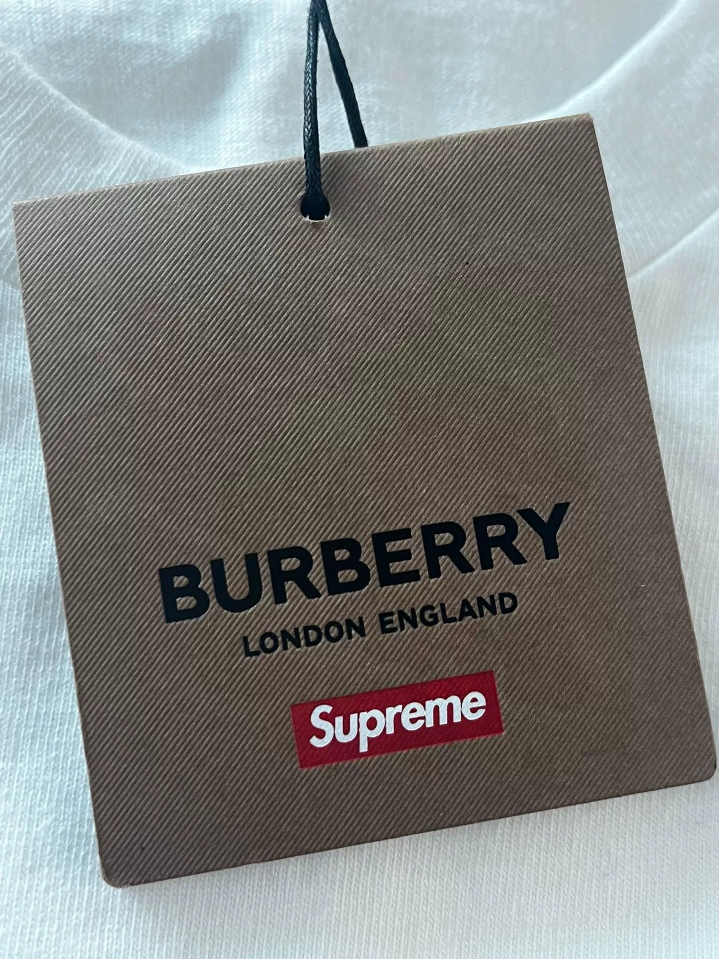 Supreme Supreme SS22 Burberry Short-Sleeve T-Shirt Size US M / EU 48-50 / 2 - 6 Thumbnail