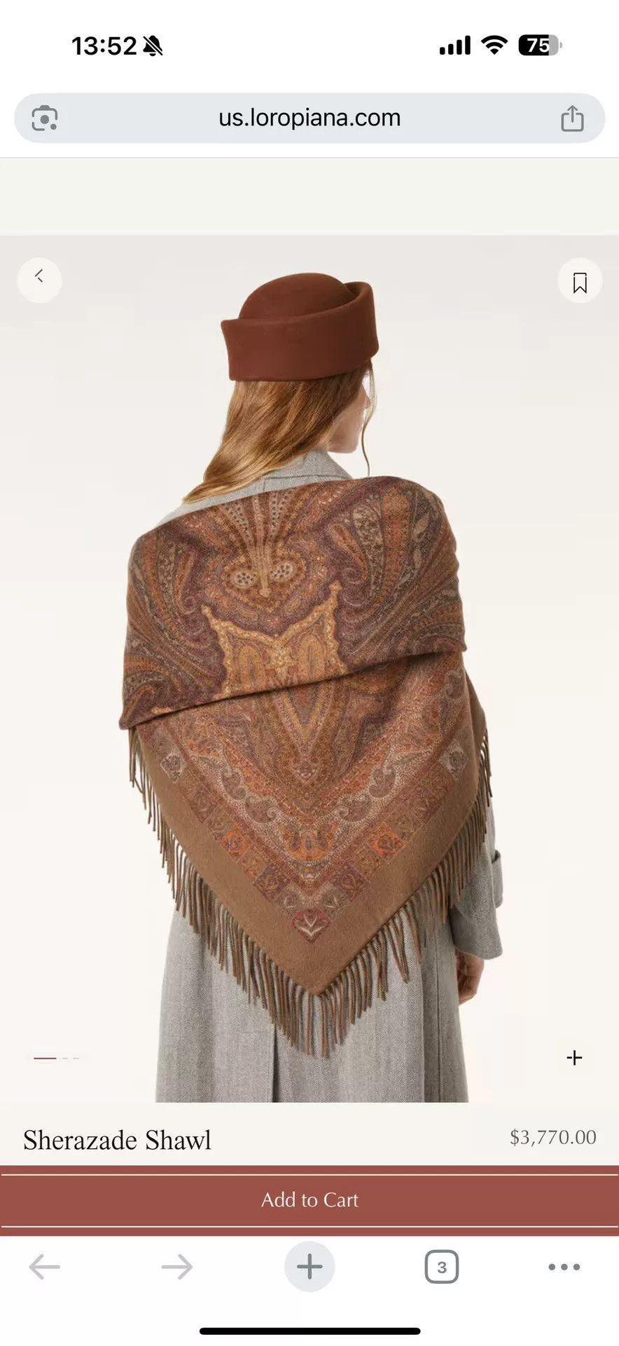 Loro Piana Loro Piana Paisley Cashmere Shawl Size ONE SIZE - 8 Thumbnail