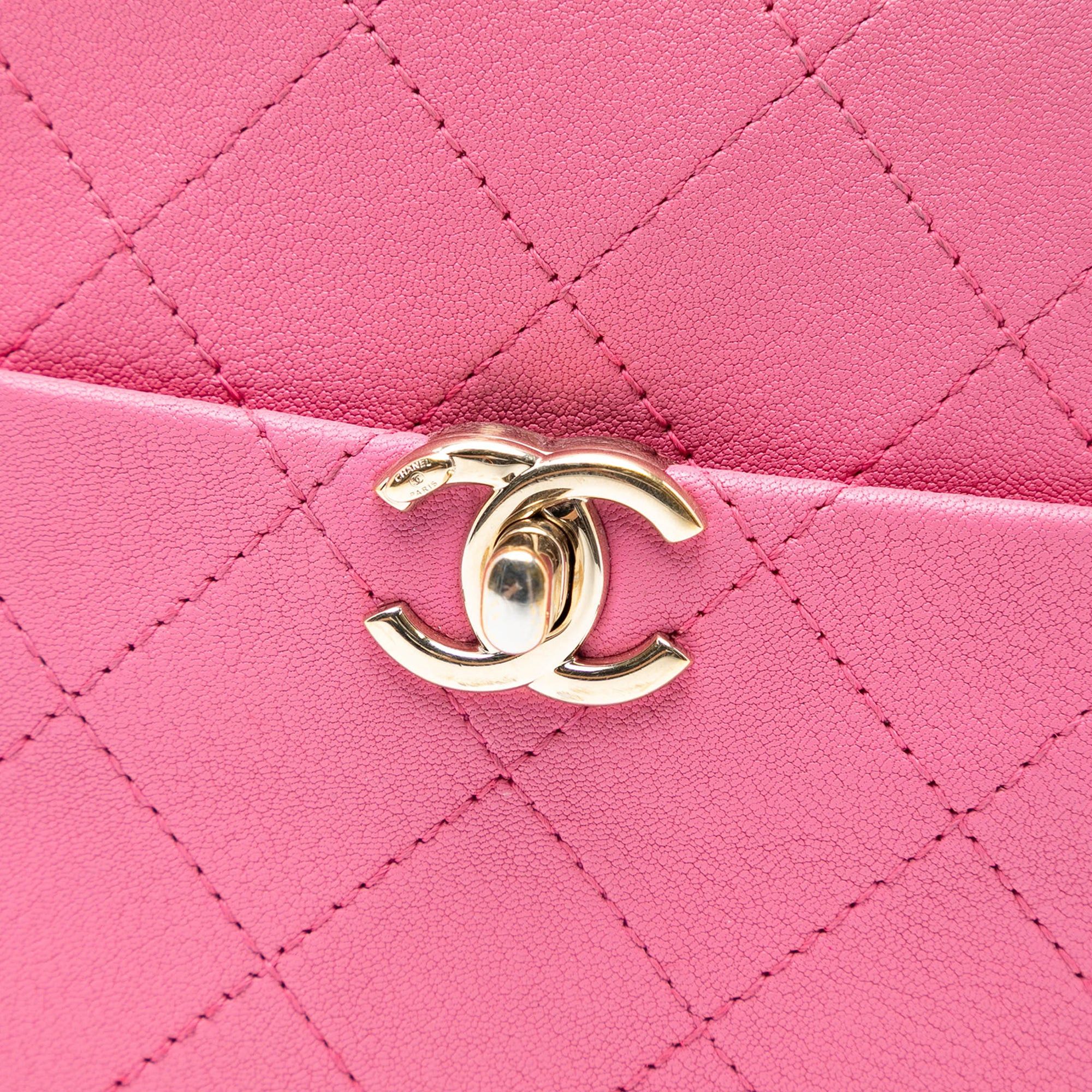 Chanel Stitched Goatskin Casual Trip North South Camera Case Size ONE SIZE - 6 Thumbnail