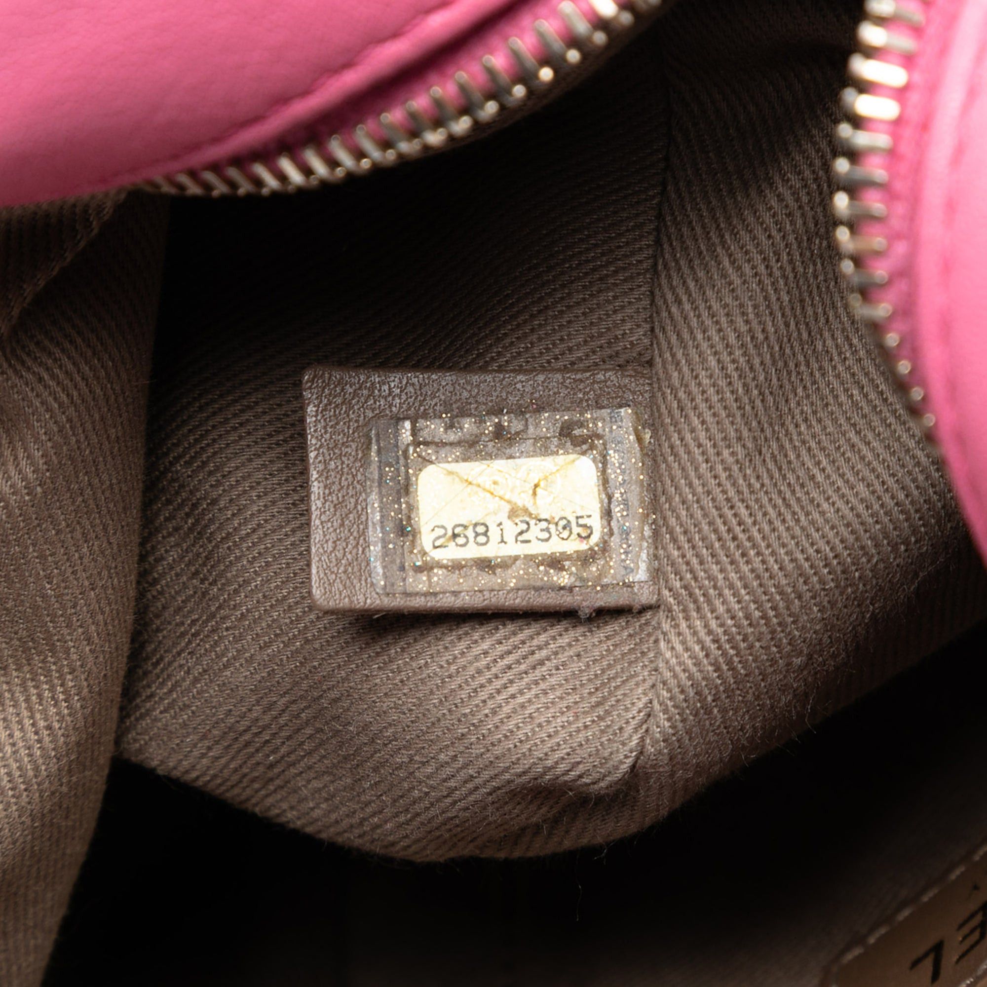 Chanel Stitched Goatskin Casual Trip North South Camera Case Size ONE SIZE - 5 Thumbnail