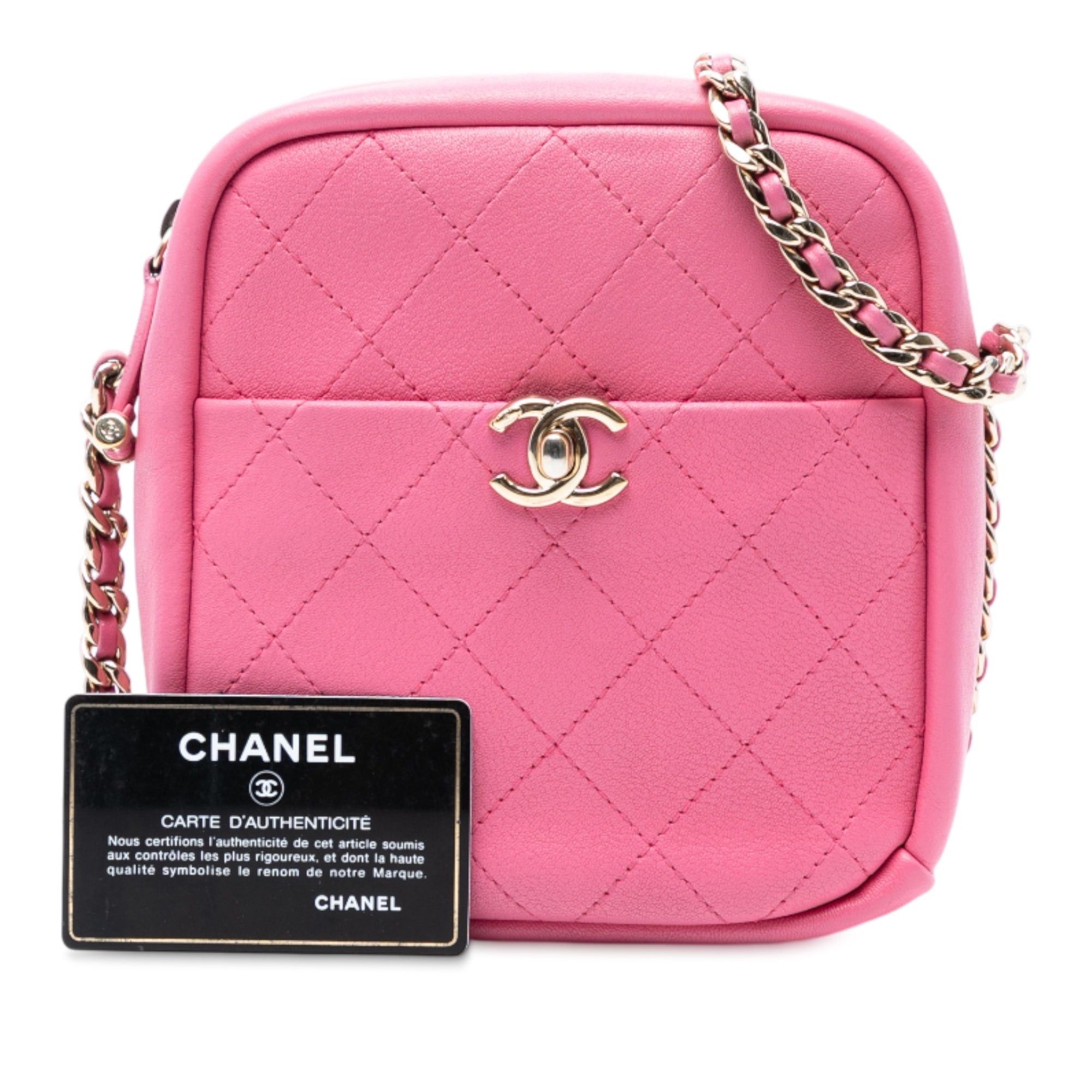 Chanel Stitched Goatskin Casual Trip North South Camera Case Size ONE SIZE - 8 Thumbnail