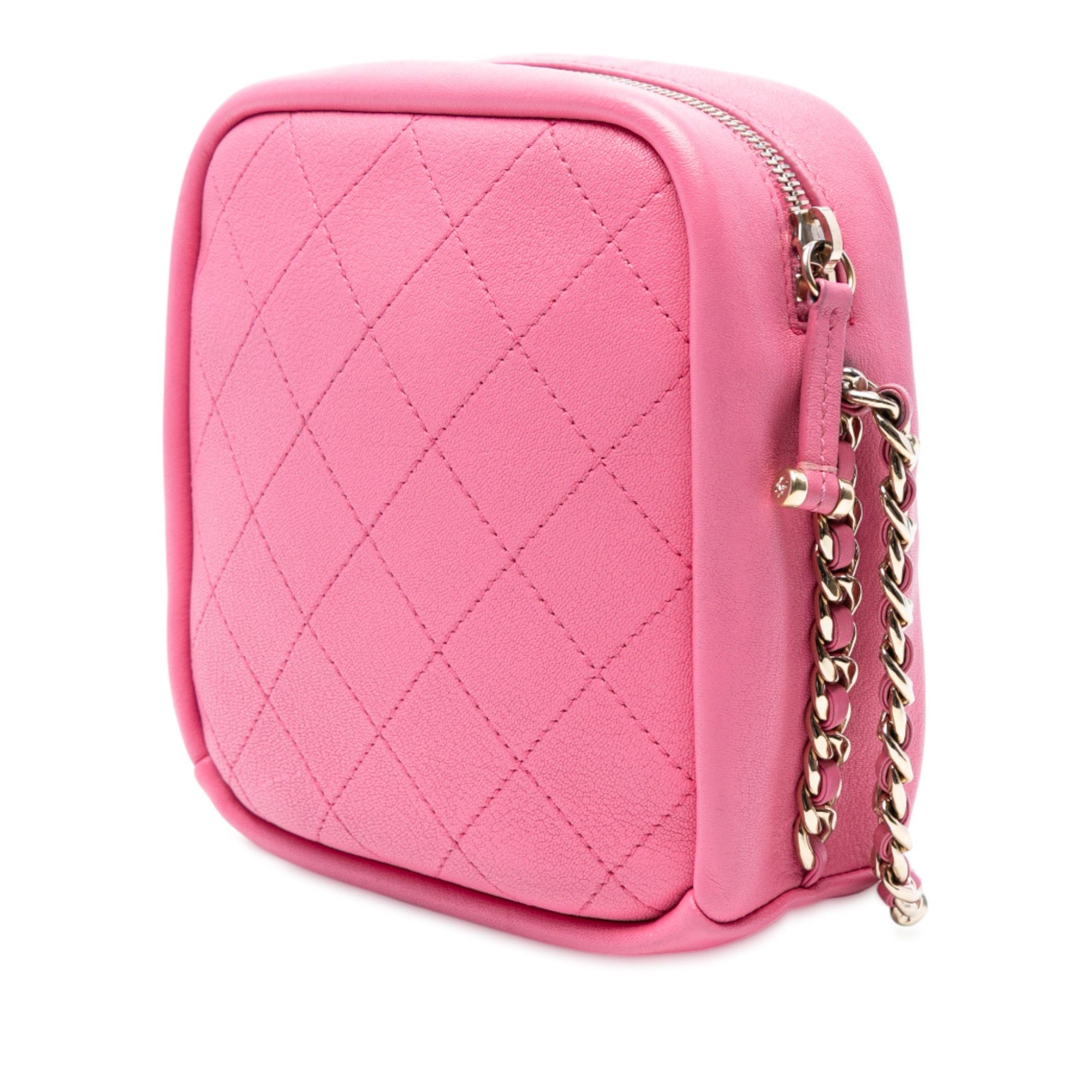 Chanel Stitched Goatskin Casual Trip North South Camera Case Size ONE SIZE - 2 Thumbnail