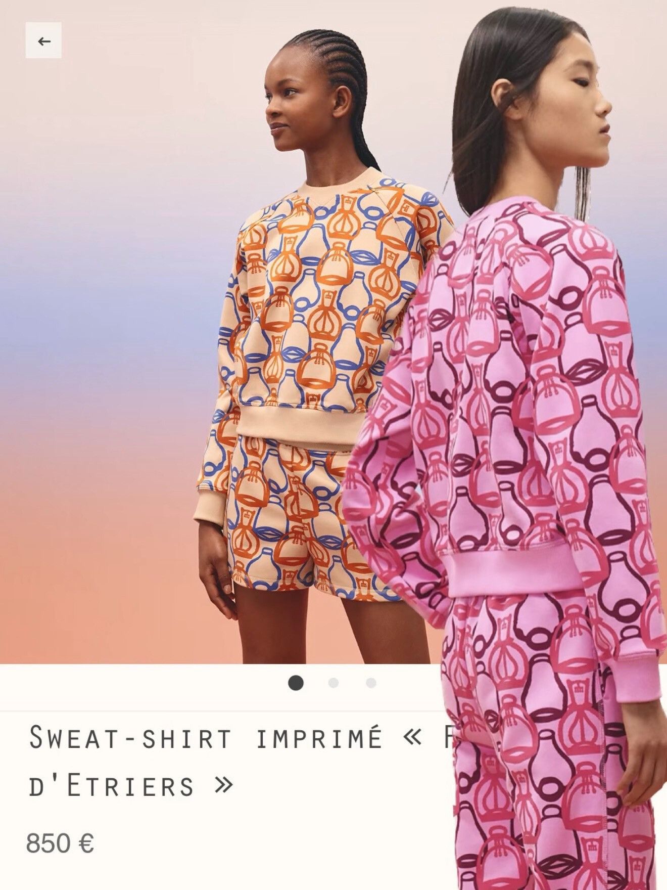 Hermes Hermes Printed Crewneck Long-Sleeve Sweatshirt Size XXS / US 00 / IT 34 - 8 Thumbnail