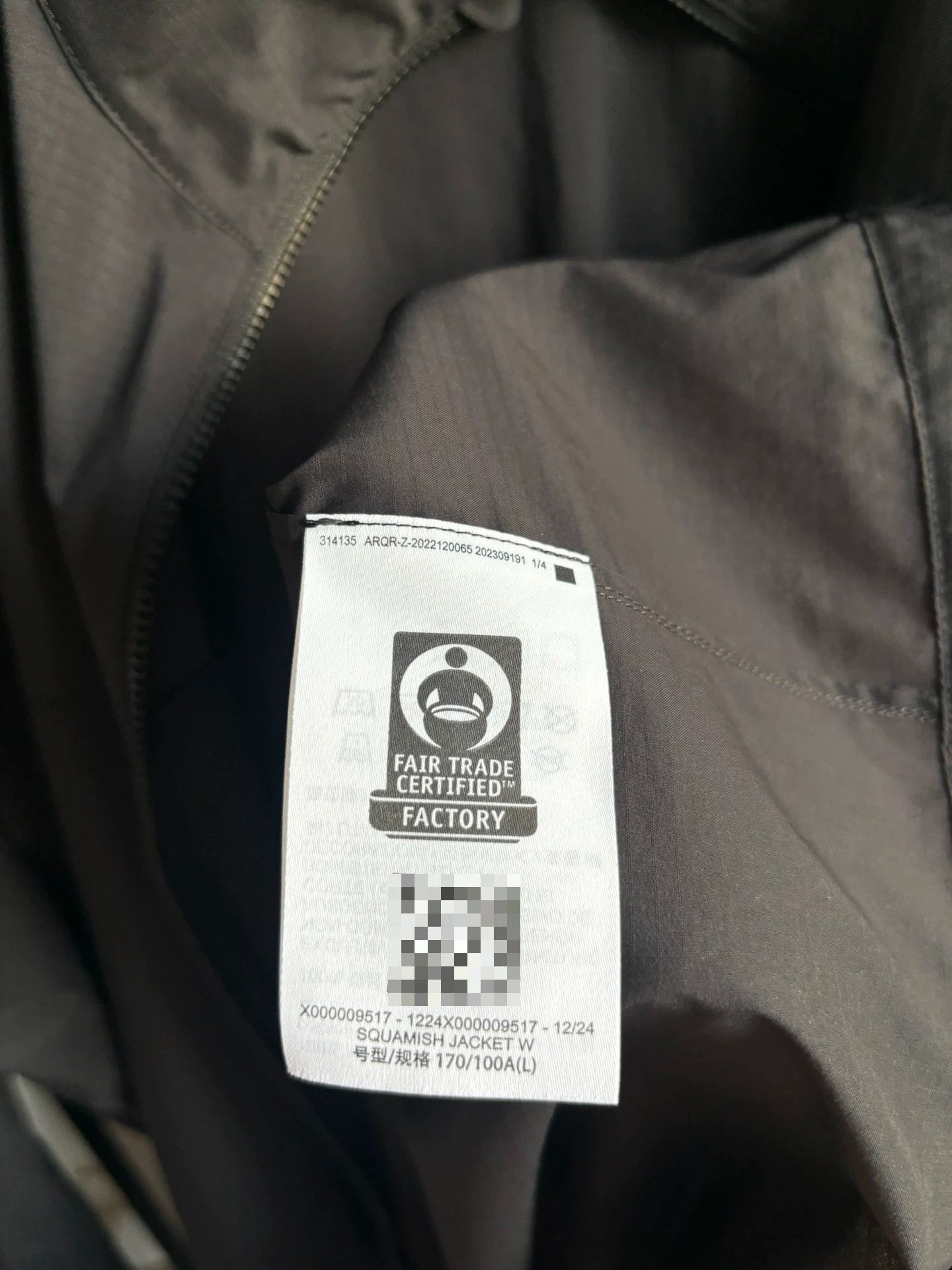Arc'teryx Arcteryx Squamish hoody Size US L / EU 52-54 / 3 - 6 Thumbnail