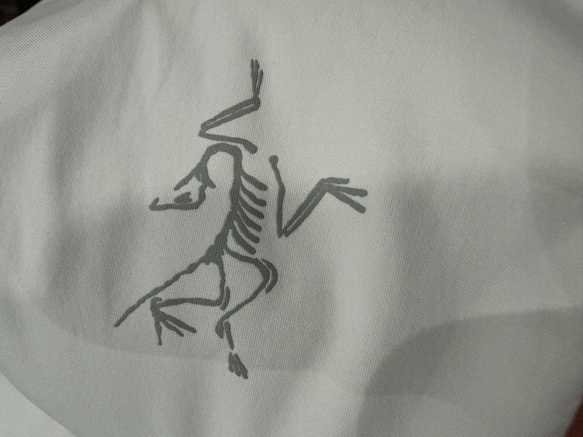 Arc'teryx Arcteryx Camosun Parka Size US L / EU 52-54 / 3 - 2 Thumbnail