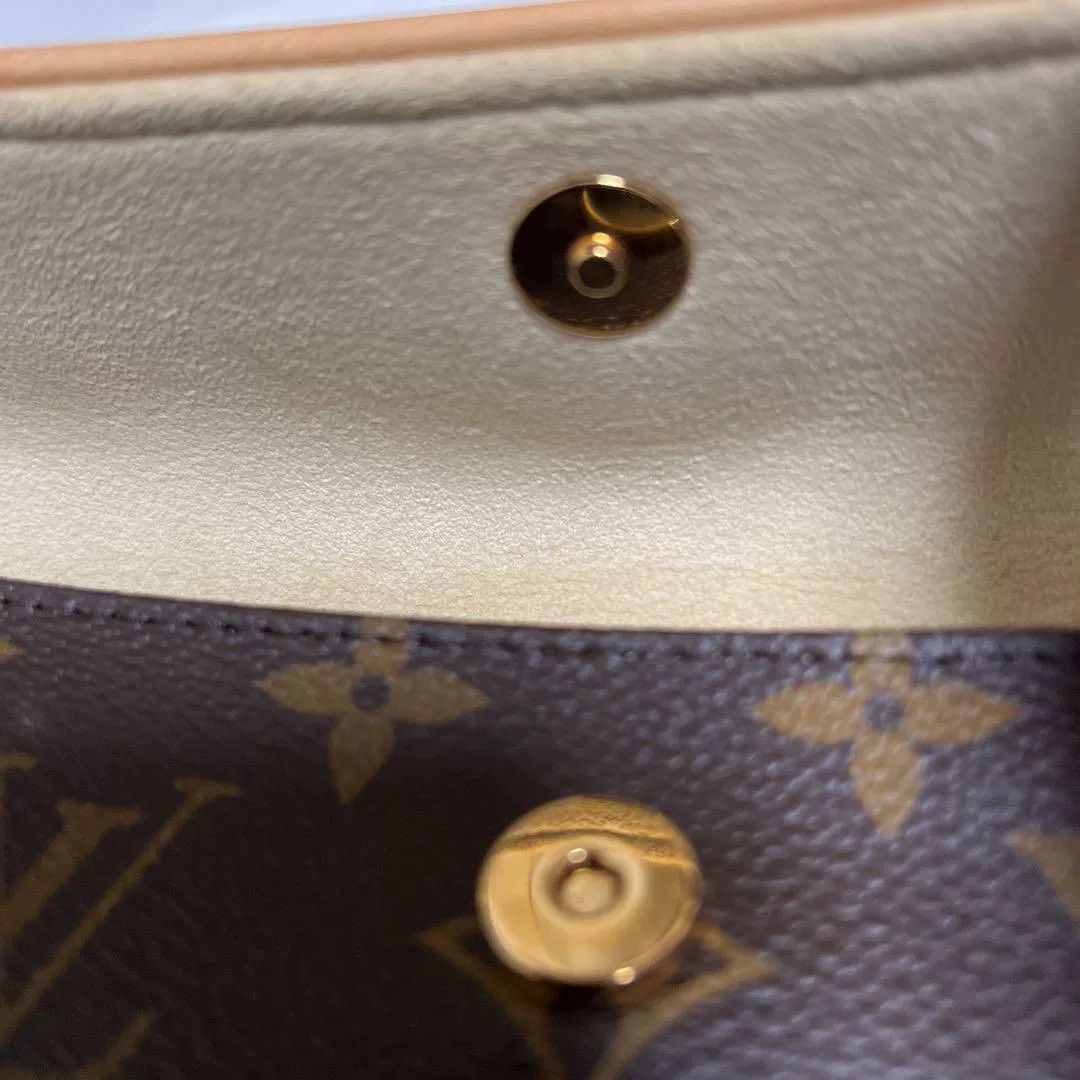 Louis Vuitton Louis Vuitton Waist Bag Size ONE SIZE - 5 Thumbnail