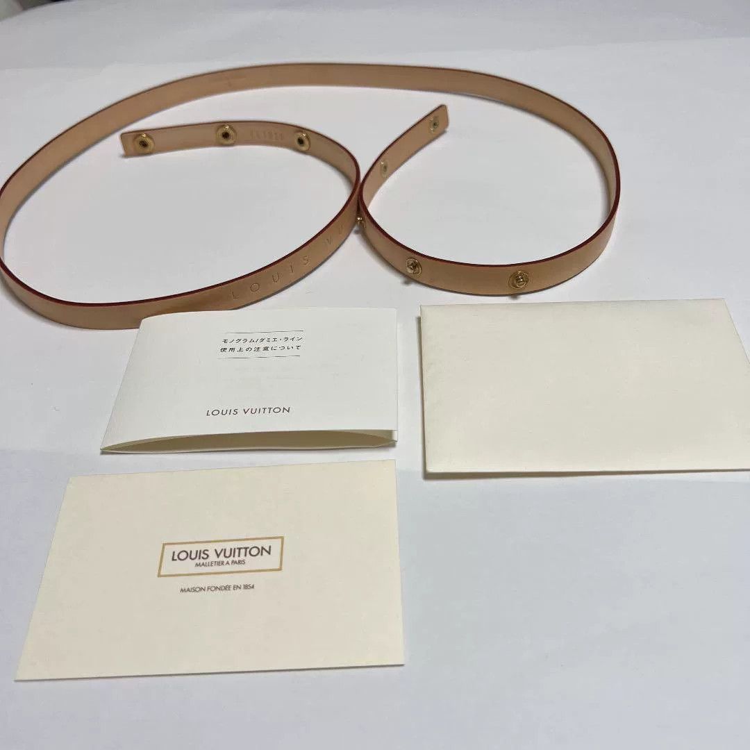 Louis Vuitton Louis Vuitton Waist Bag Size ONE SIZE - 7 Thumbnail