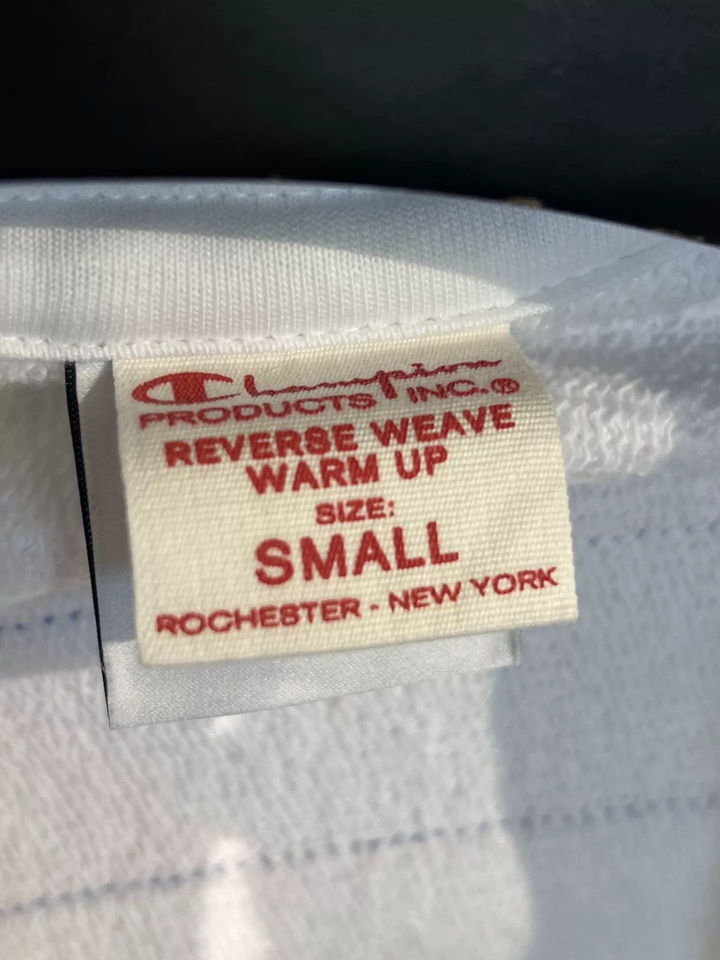 Vetements Vetements x Champion Hooded Zip Sweatshirt Size US S / EU 44-46 / 1 - 7 Thumbnail
