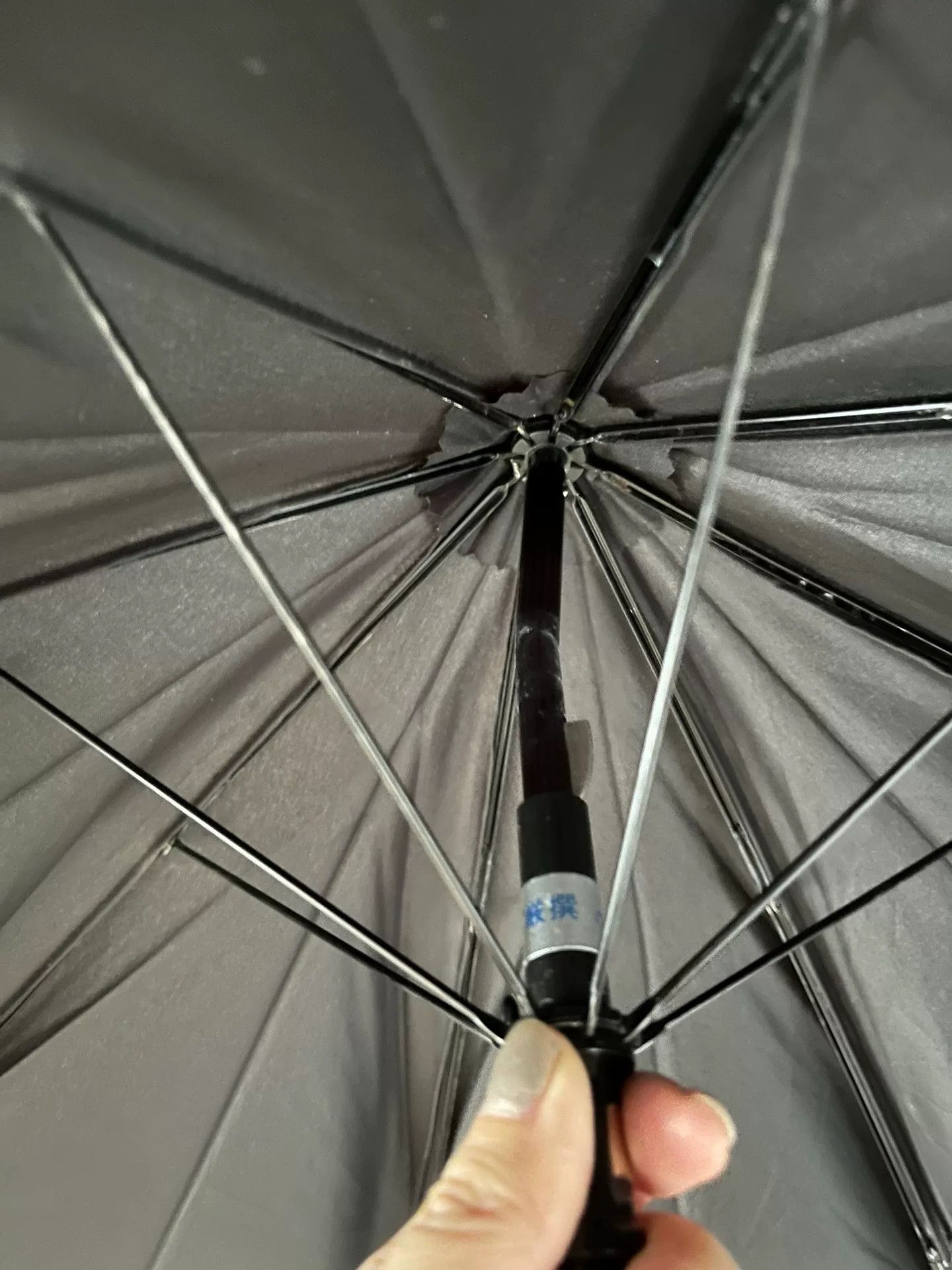 Beauty Beast Beauty: Beast Skull Handle Umbrella Size ONE SIZE - 6 Thumbnail