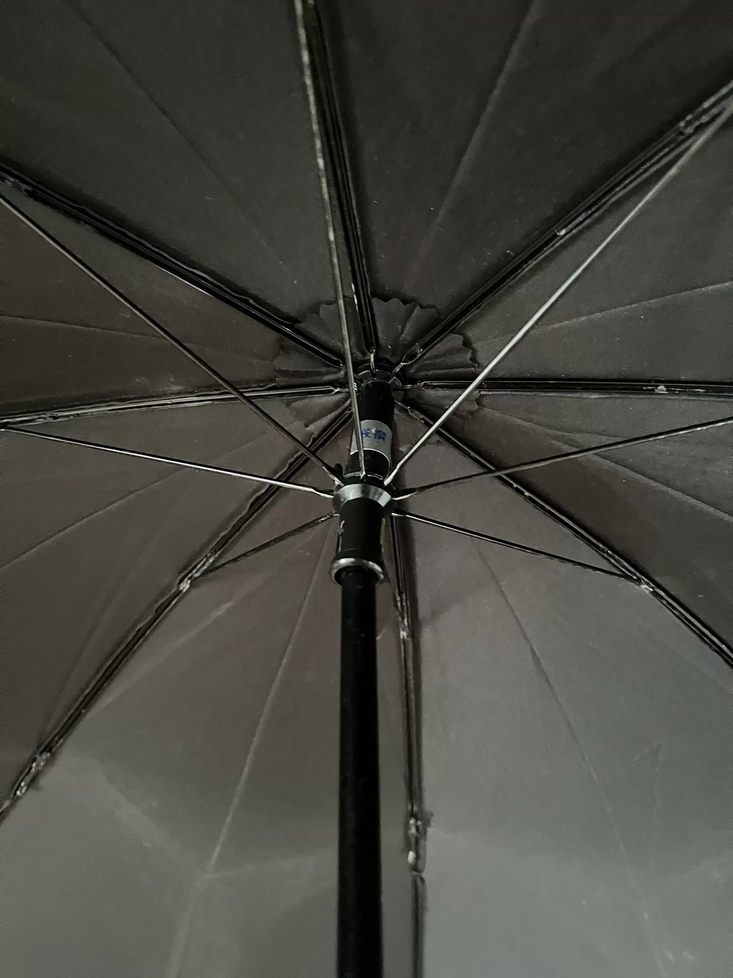 Beauty Beast Beauty: Beast Skull Handle Umbrella Size ONE SIZE - 4 Thumbnail